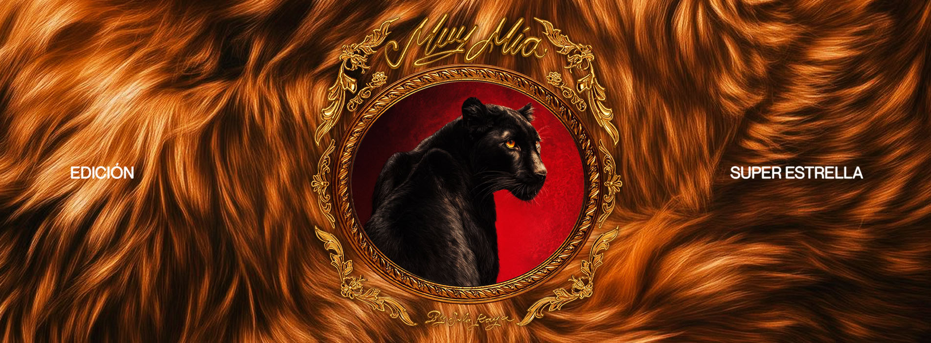 MUY MIA EDICION SUPER ESTRELLA