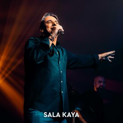 MODESTIA APARTE, UN PINGUINO EN MI ASCENSOR Y LA BANDA DEL CAPITÁN INHUMANO