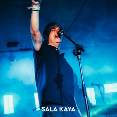 MODESTIA APARTE Y UN PINGÜINO EN MI ASCENSOR