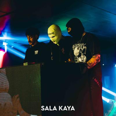 PARKINEOS & AMYGDALA