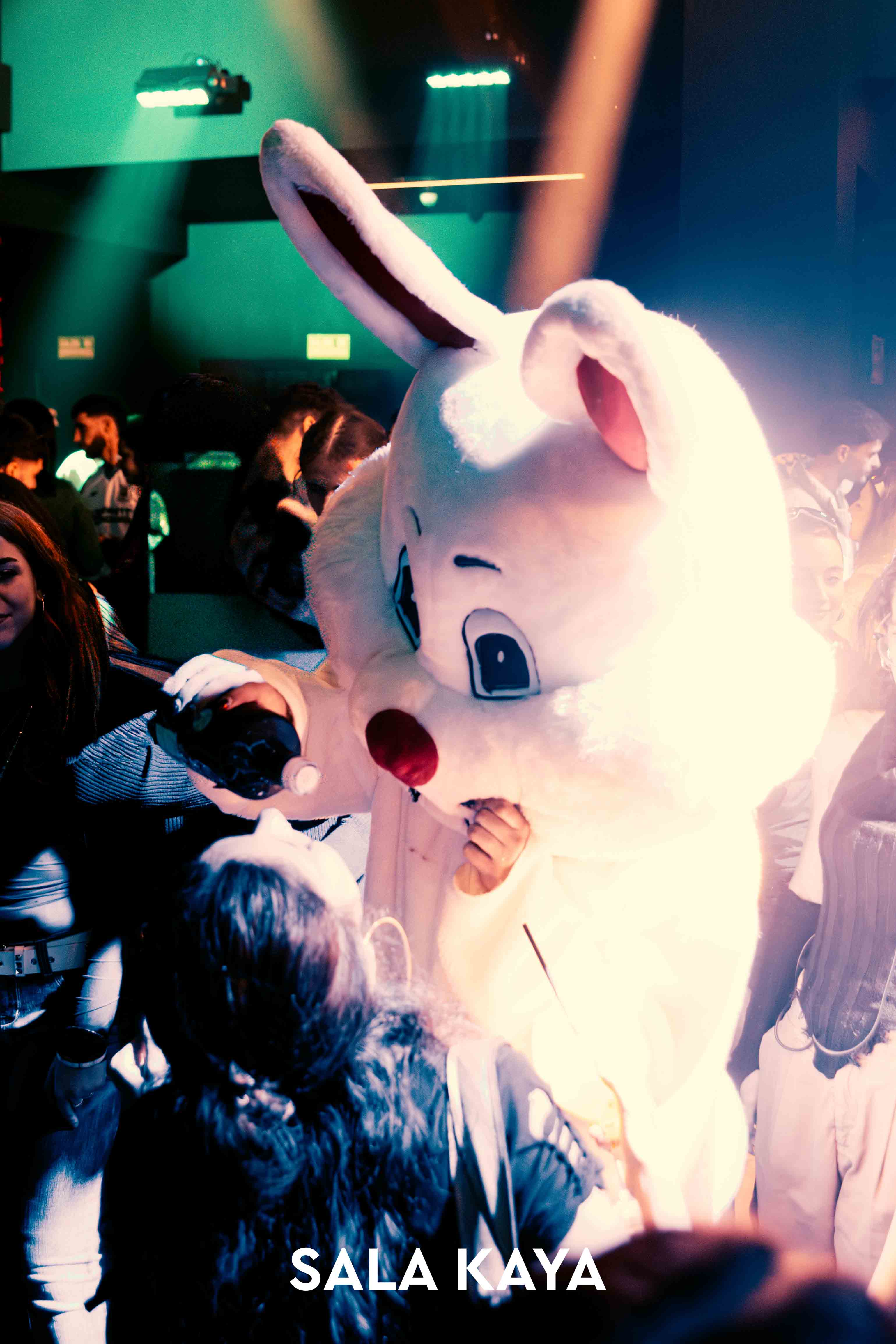 foto de público de DISOBEY