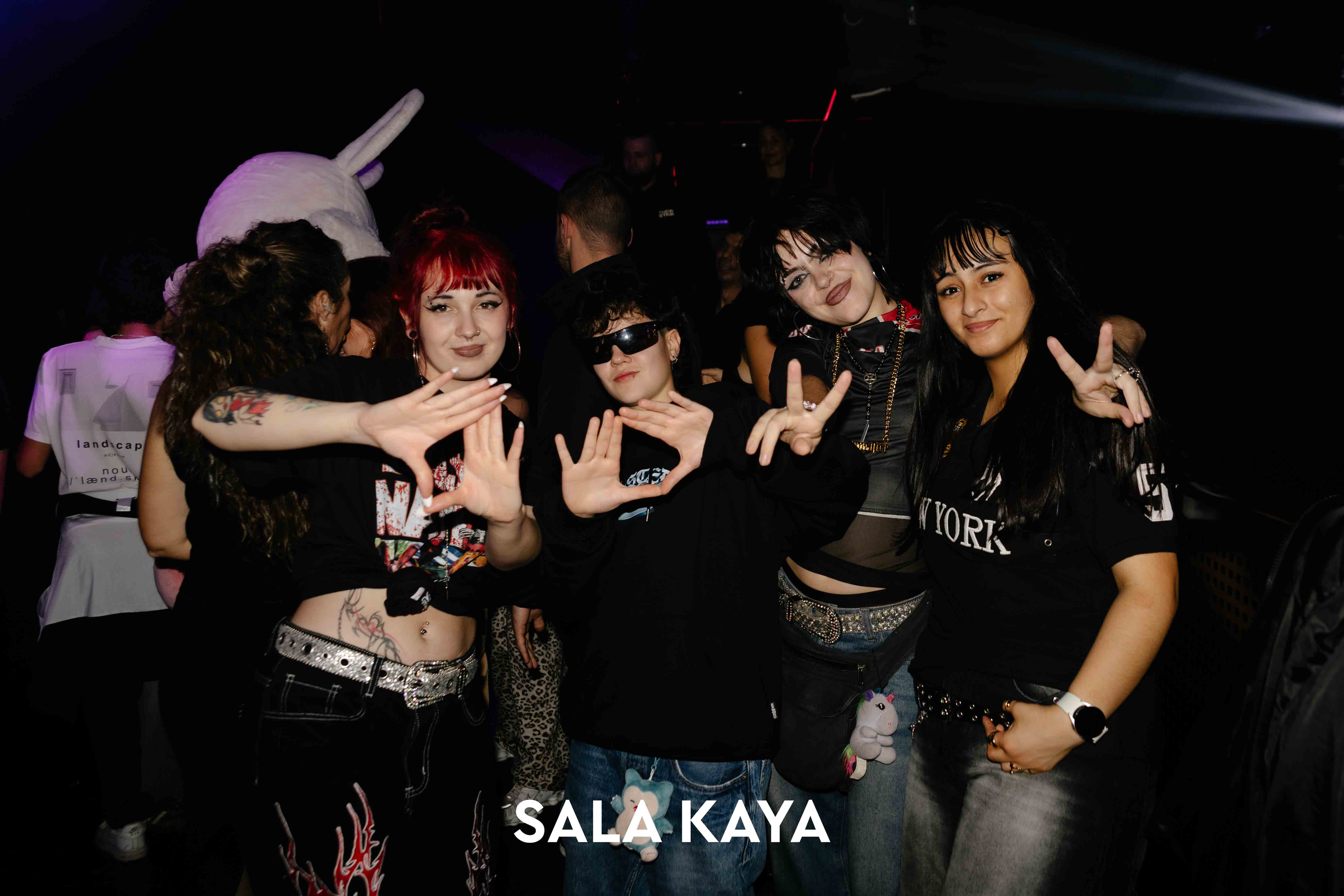 foto de público de DISOBEY