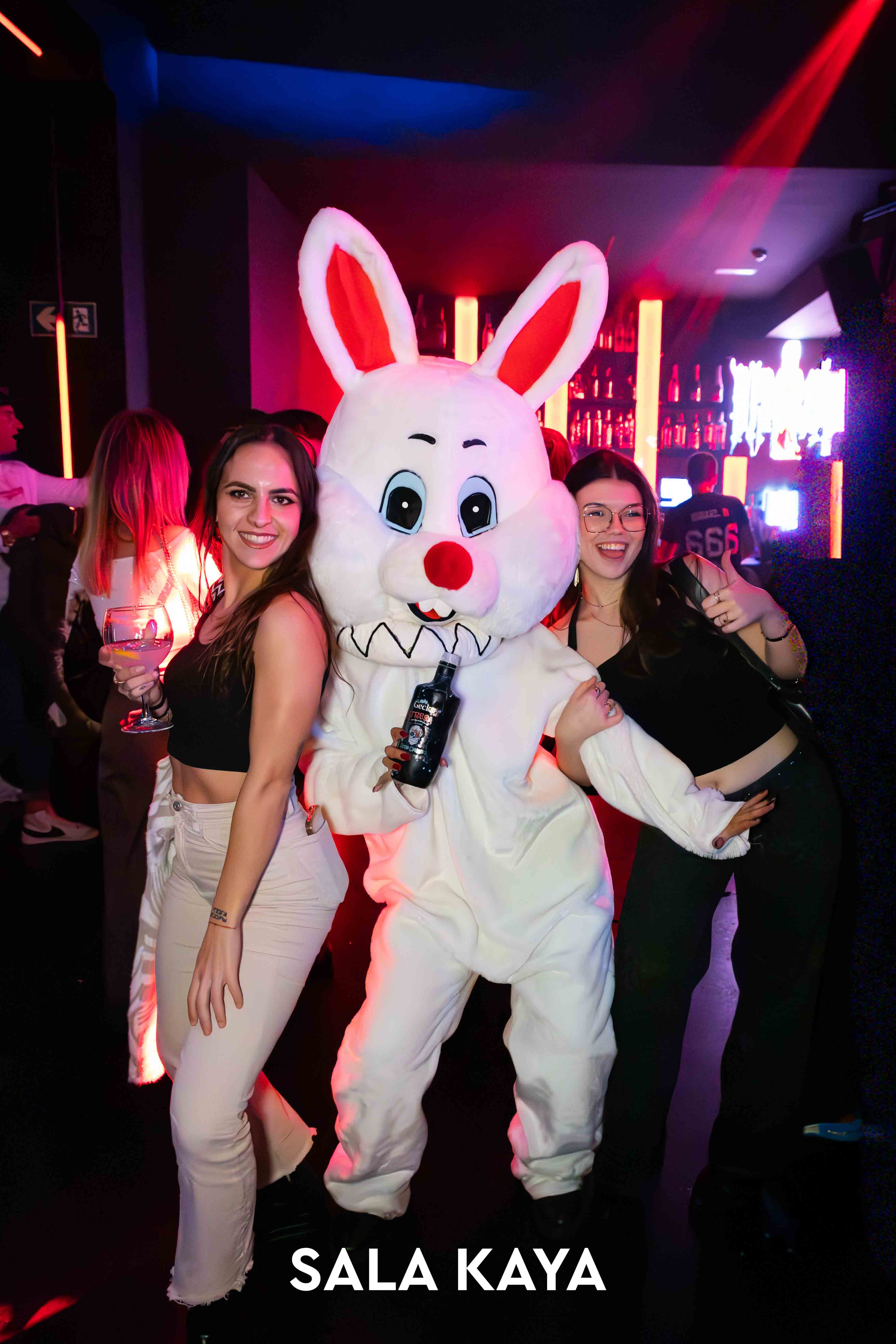 foto de público de DISOBEY