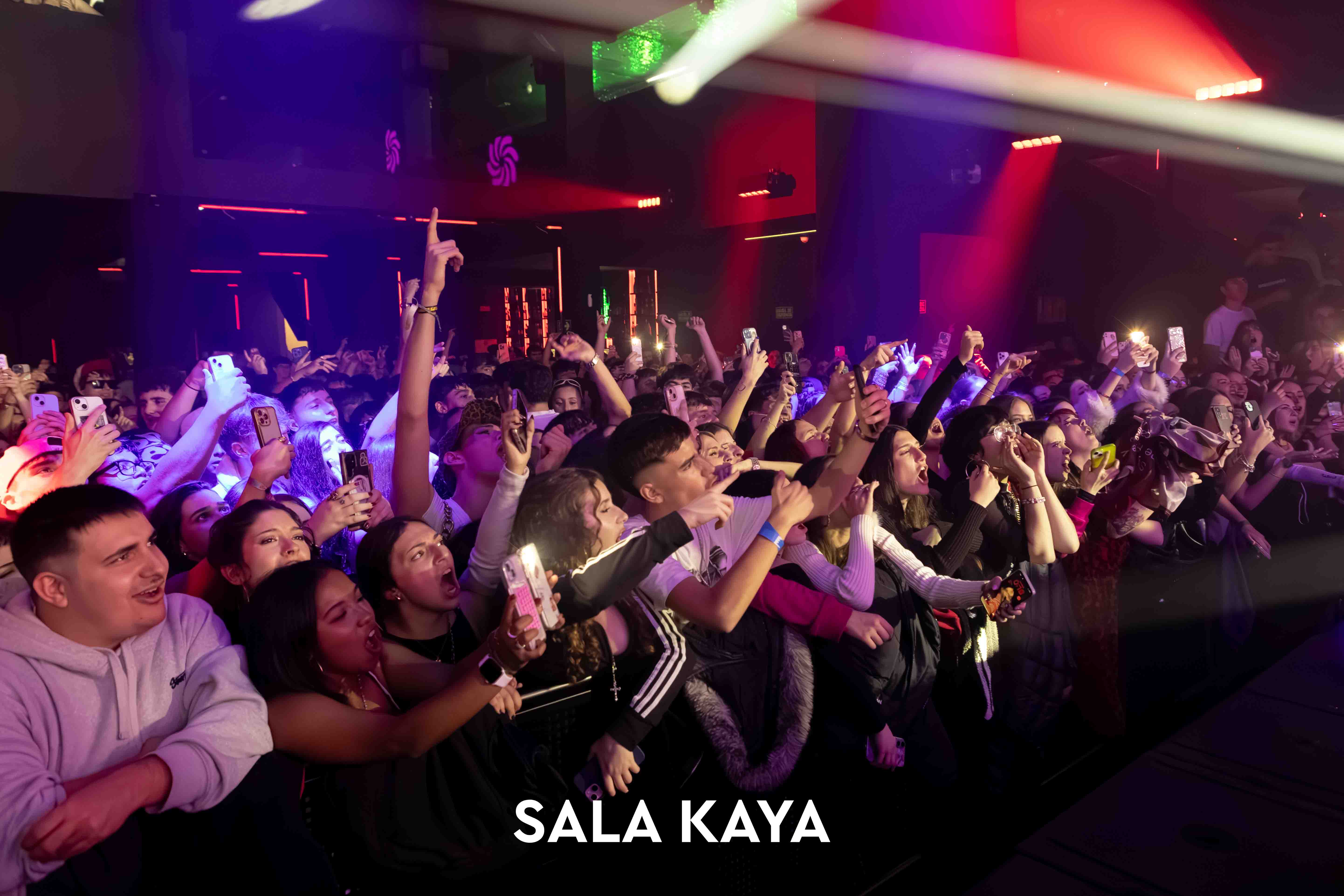 foto de público de DISOBEY