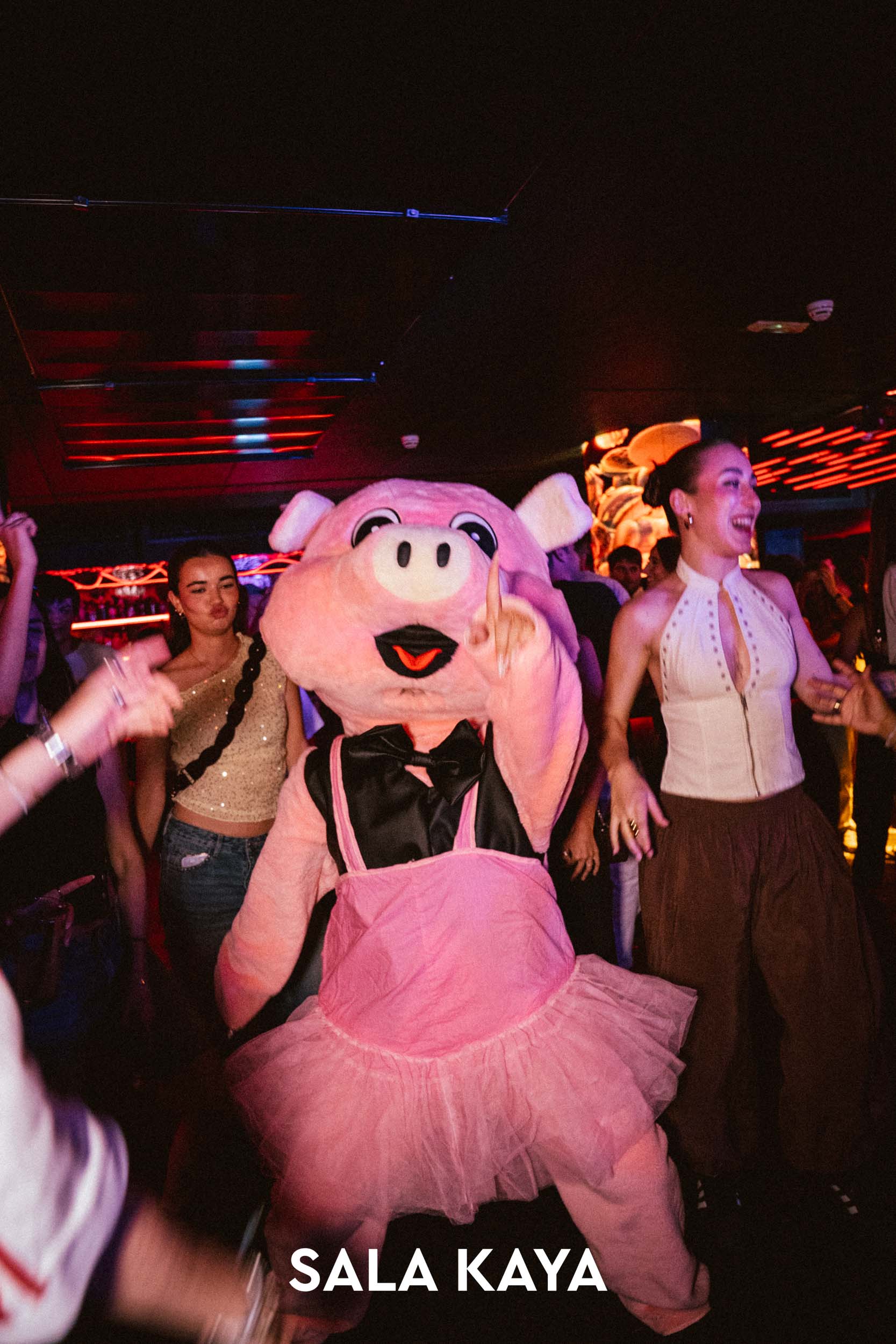 foto de público de LA NO FIESTA DE ANIVERSARIO