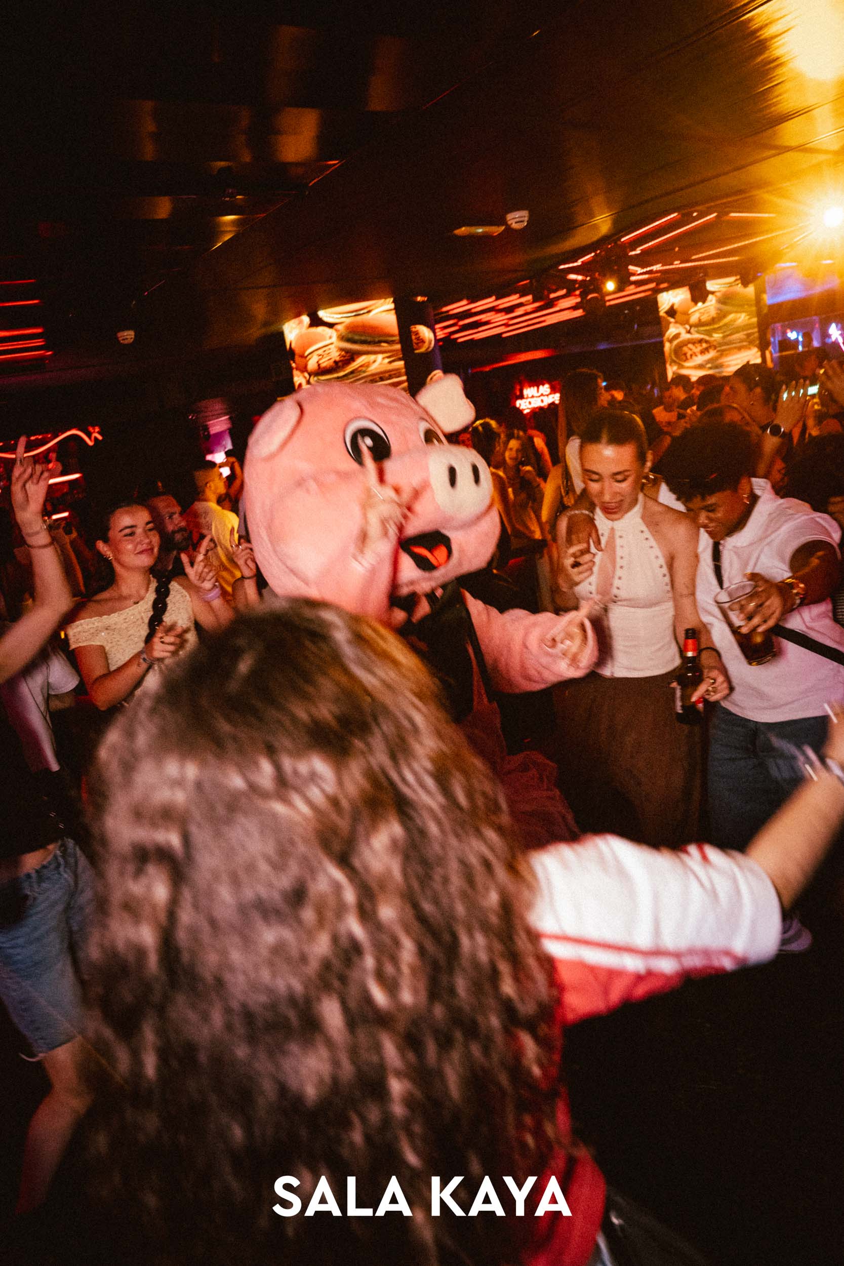 foto de público de LA NO FIESTA DE ANIVERSARIO
