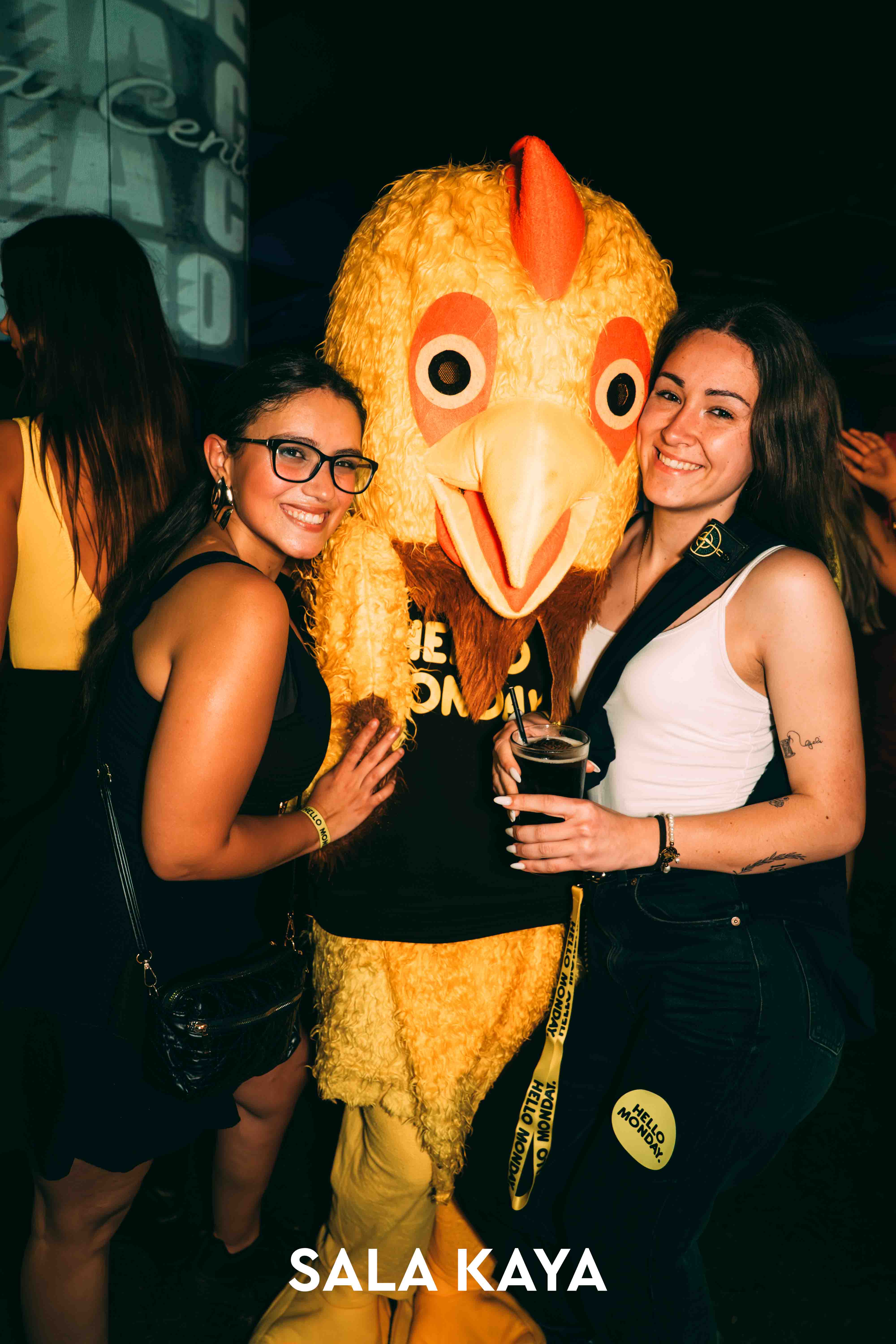 foto de público de HELLO MONDAY