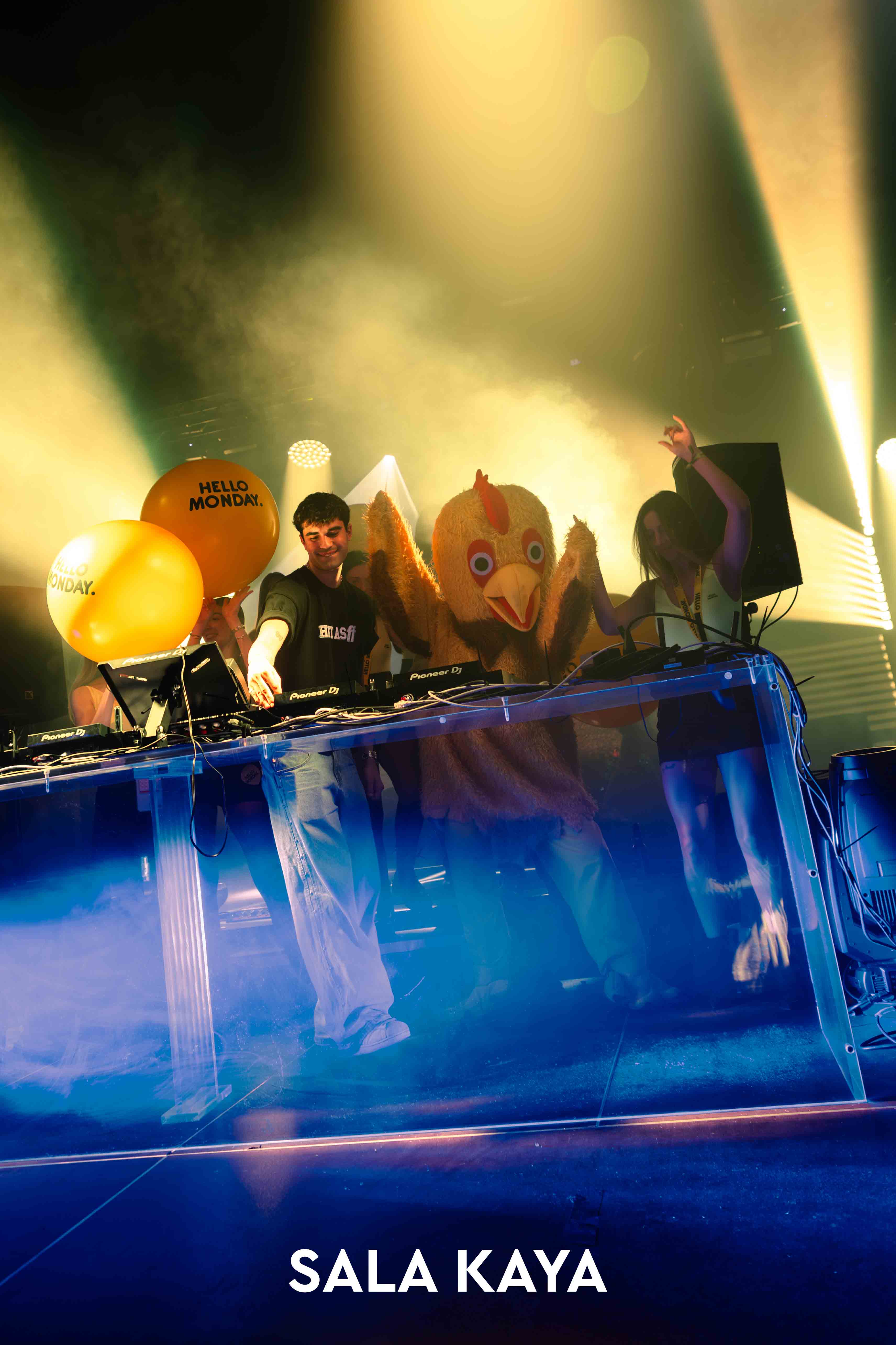 foto de público de HELLO MONDAY