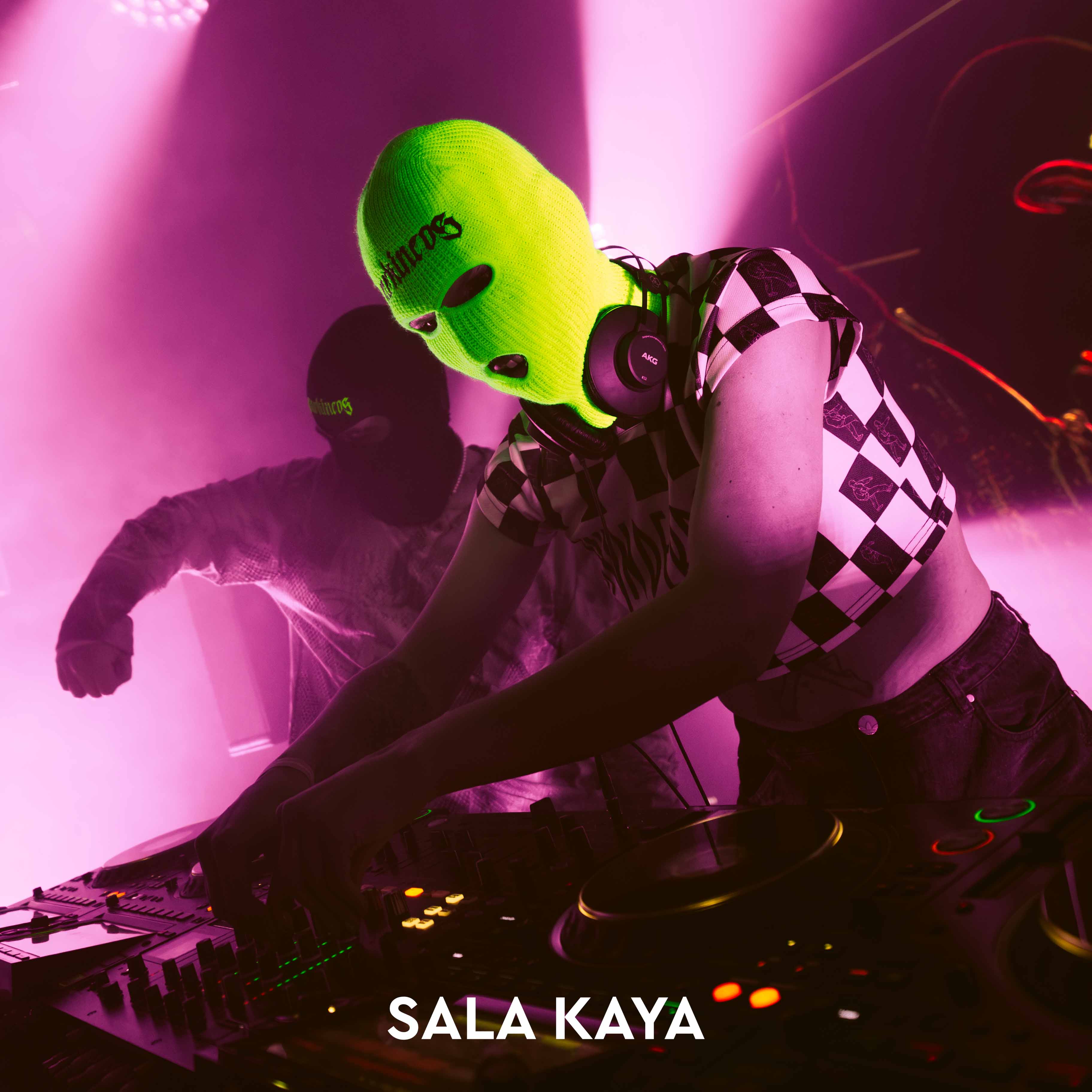 foto de público de PARKINEOS & AMYGDALA