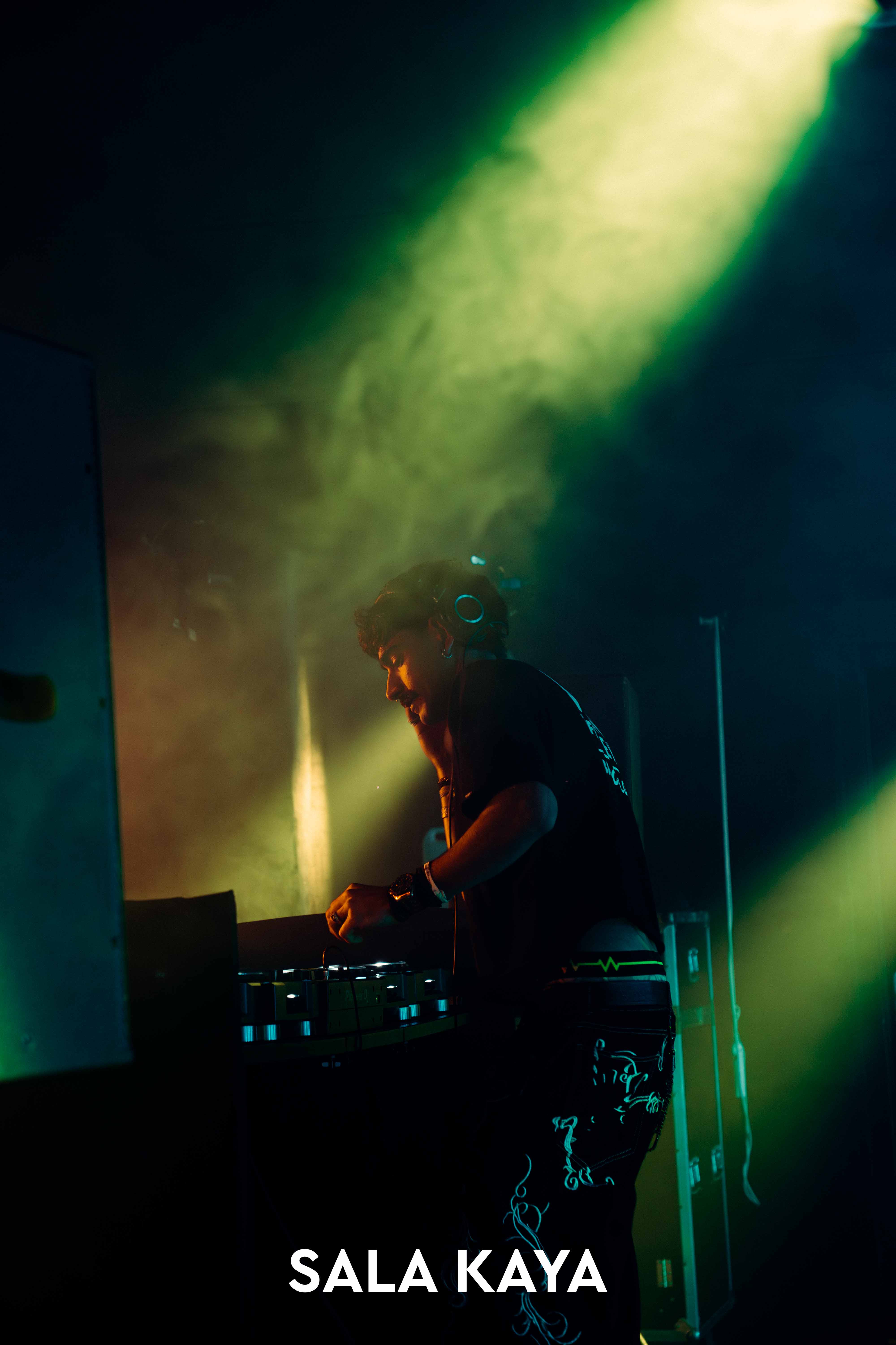 foto de público de PARKINEOS & AMYGDALA