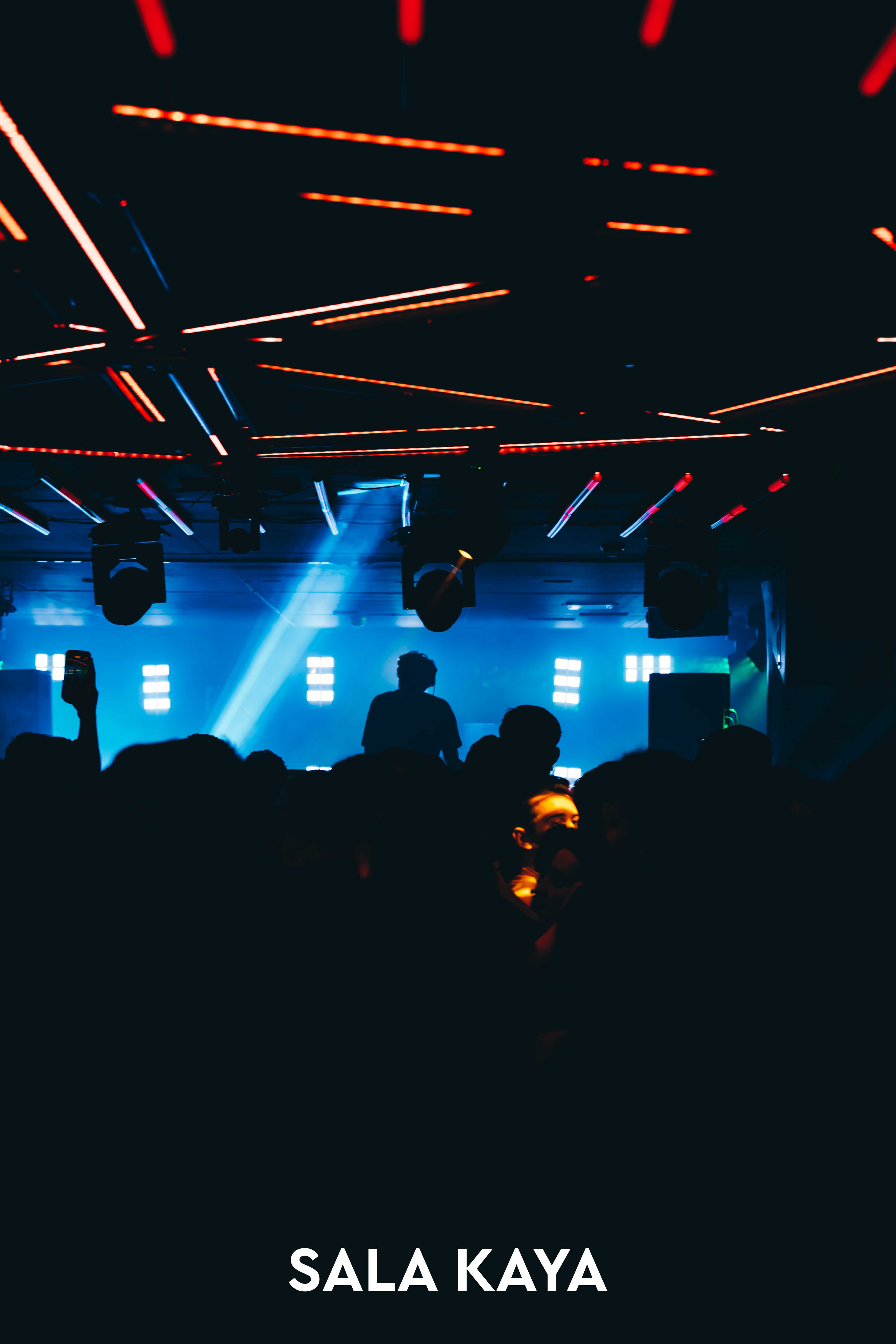 foto de público de PARKINEOS & AMYGDALA