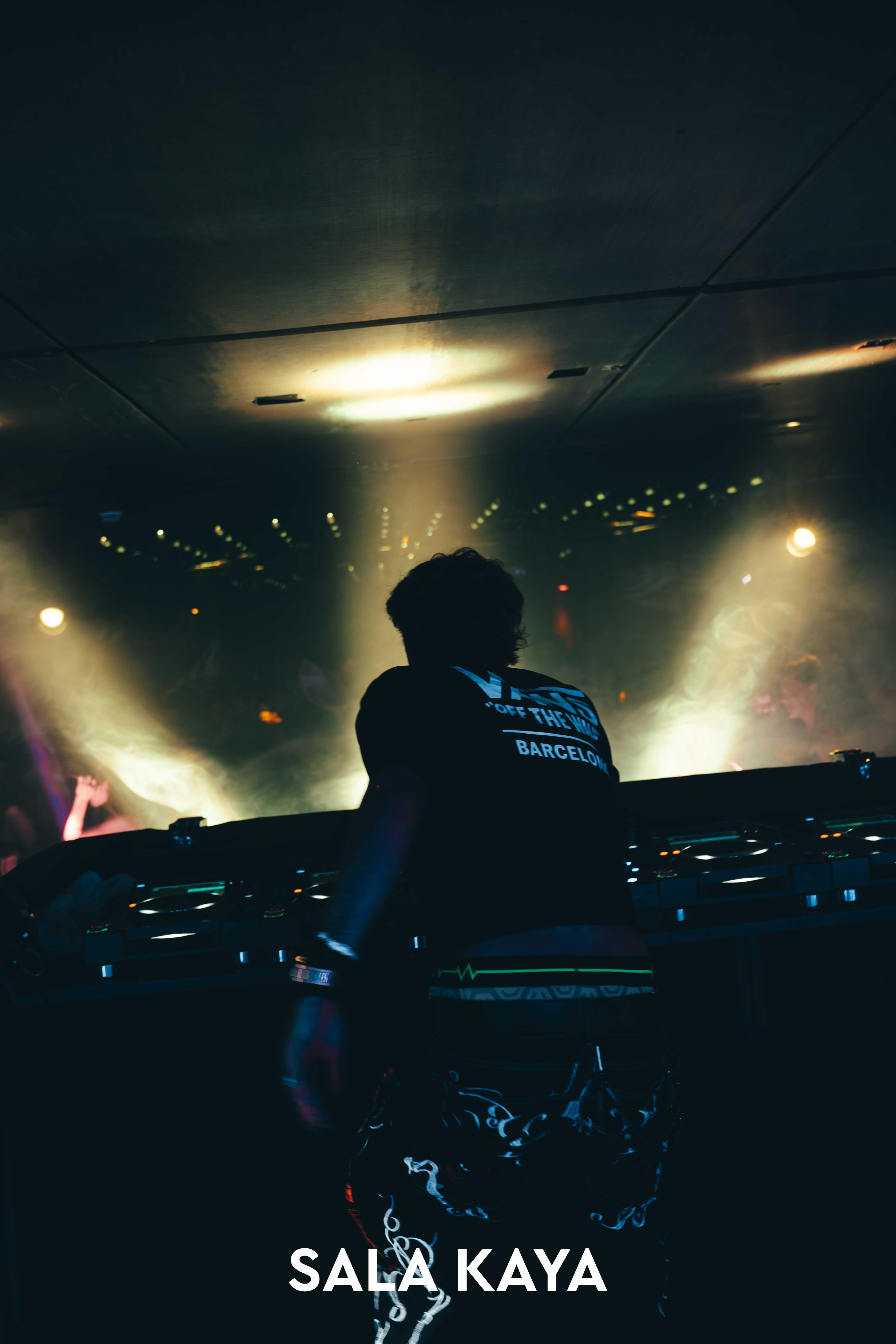 foto de público de PARKINEOS & AMYGDALA