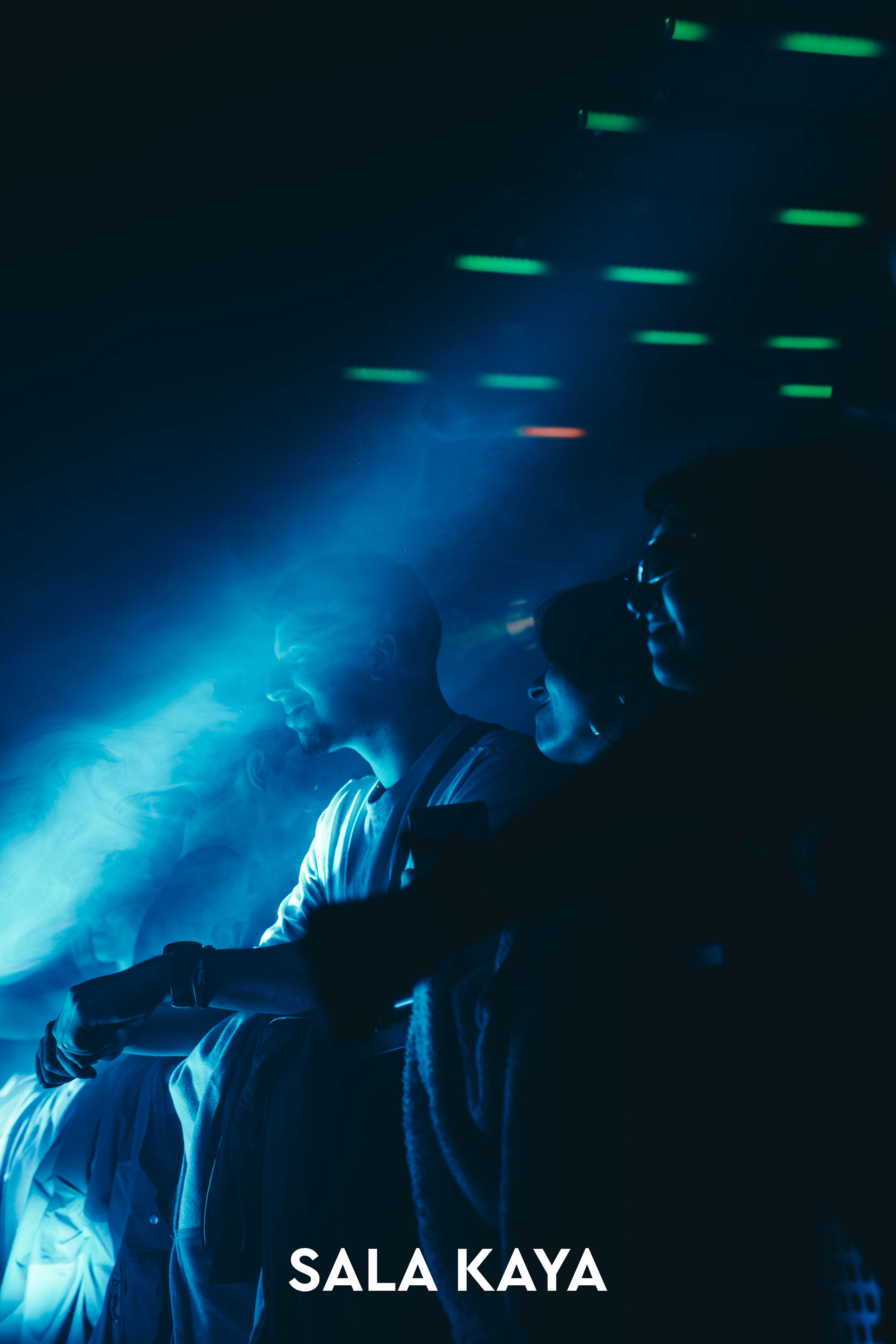 foto de público de PARKINEOS & AMYGDALA