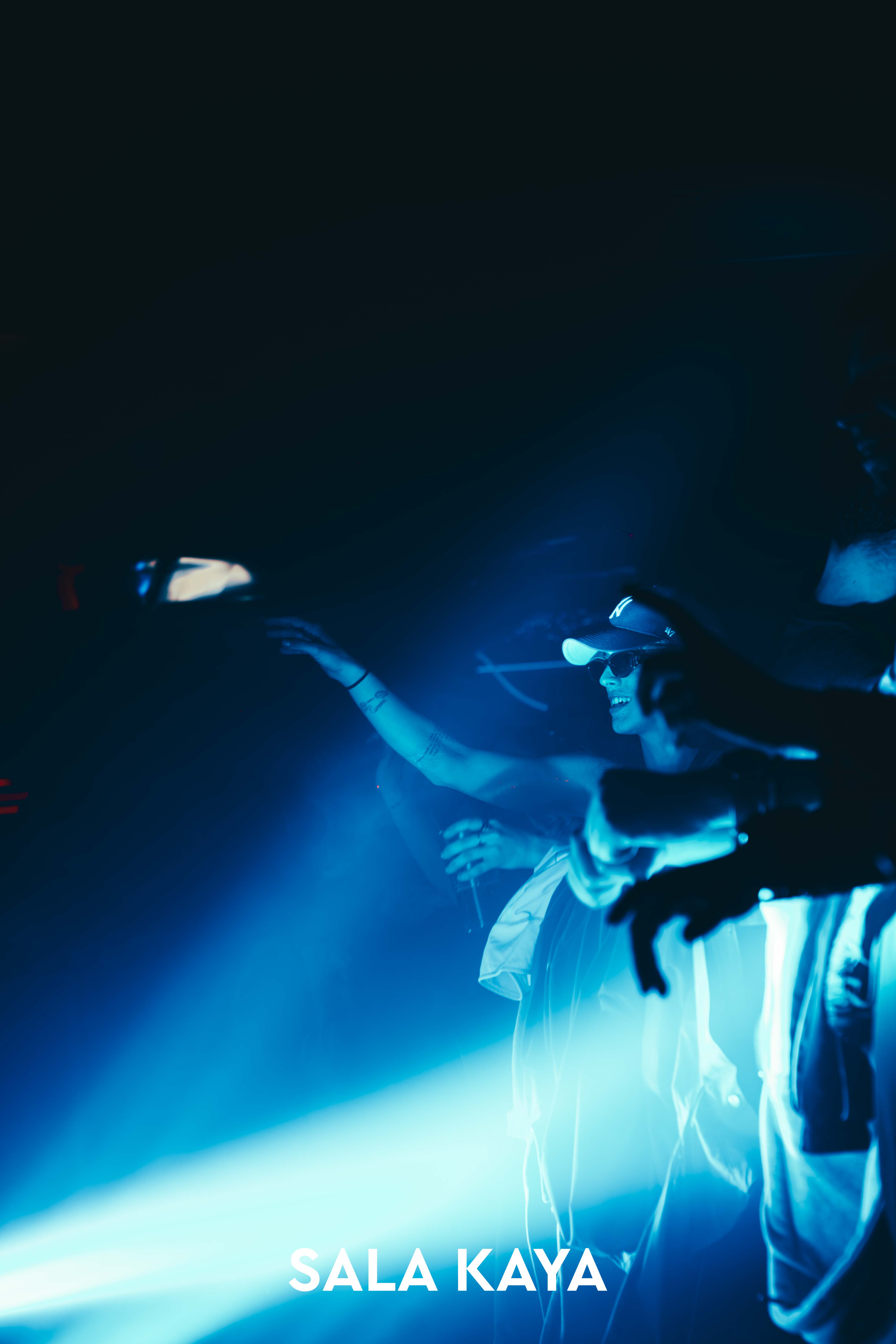 foto de público de PARKINEOS & AMYGDALA