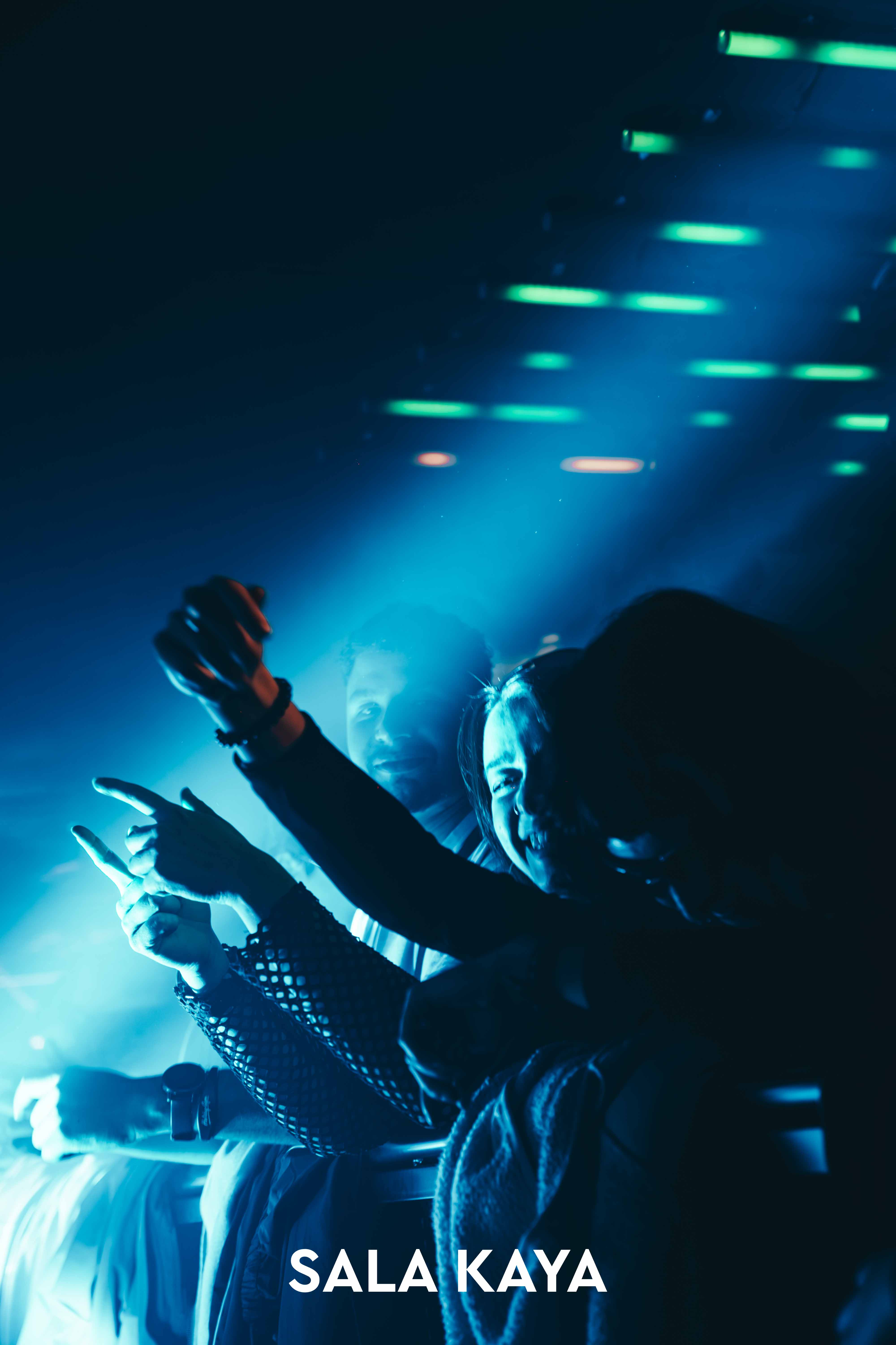 foto de público de PARKINEOS & AMYGDALA