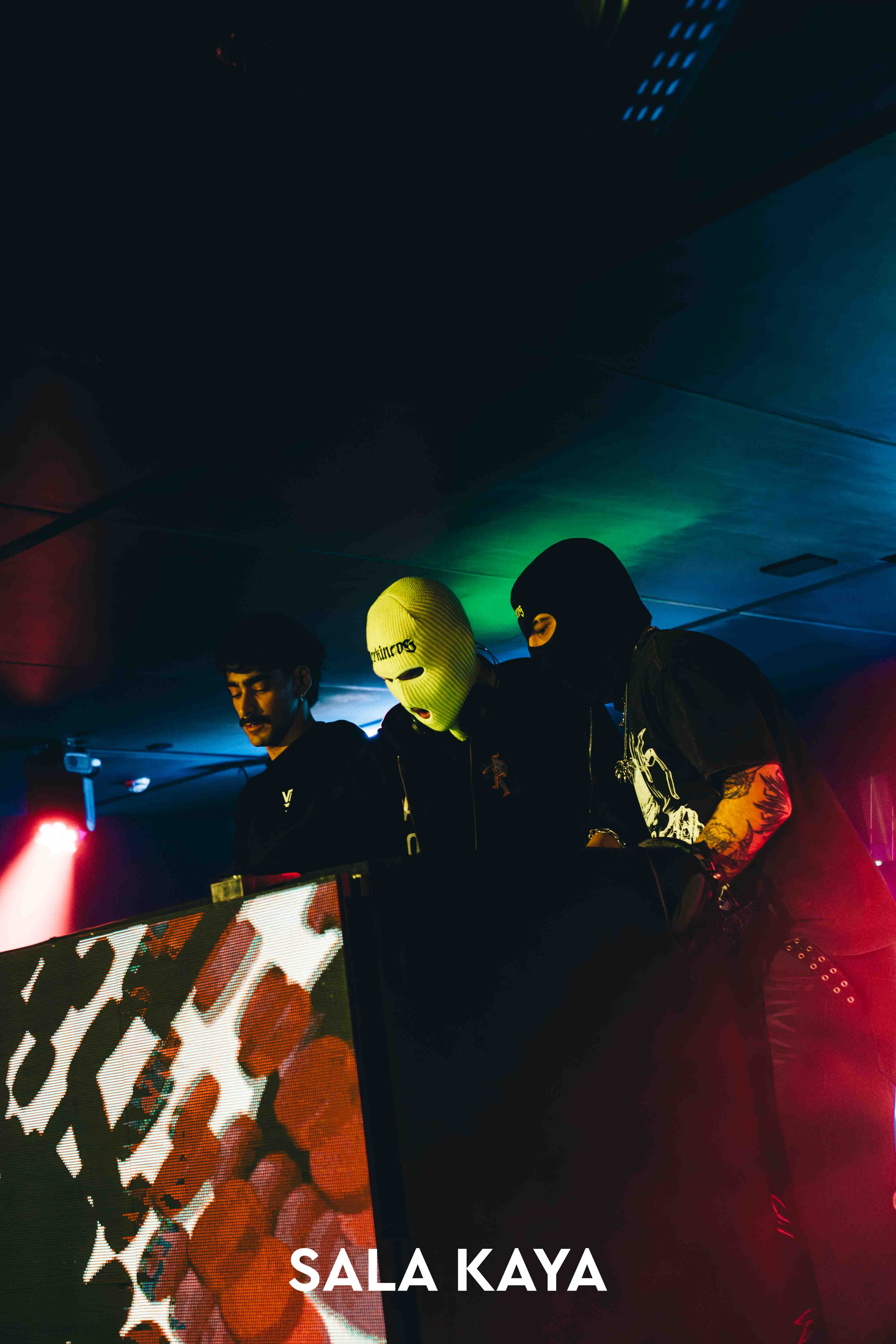 foto de público de PARKINEOS & AMYGDALA