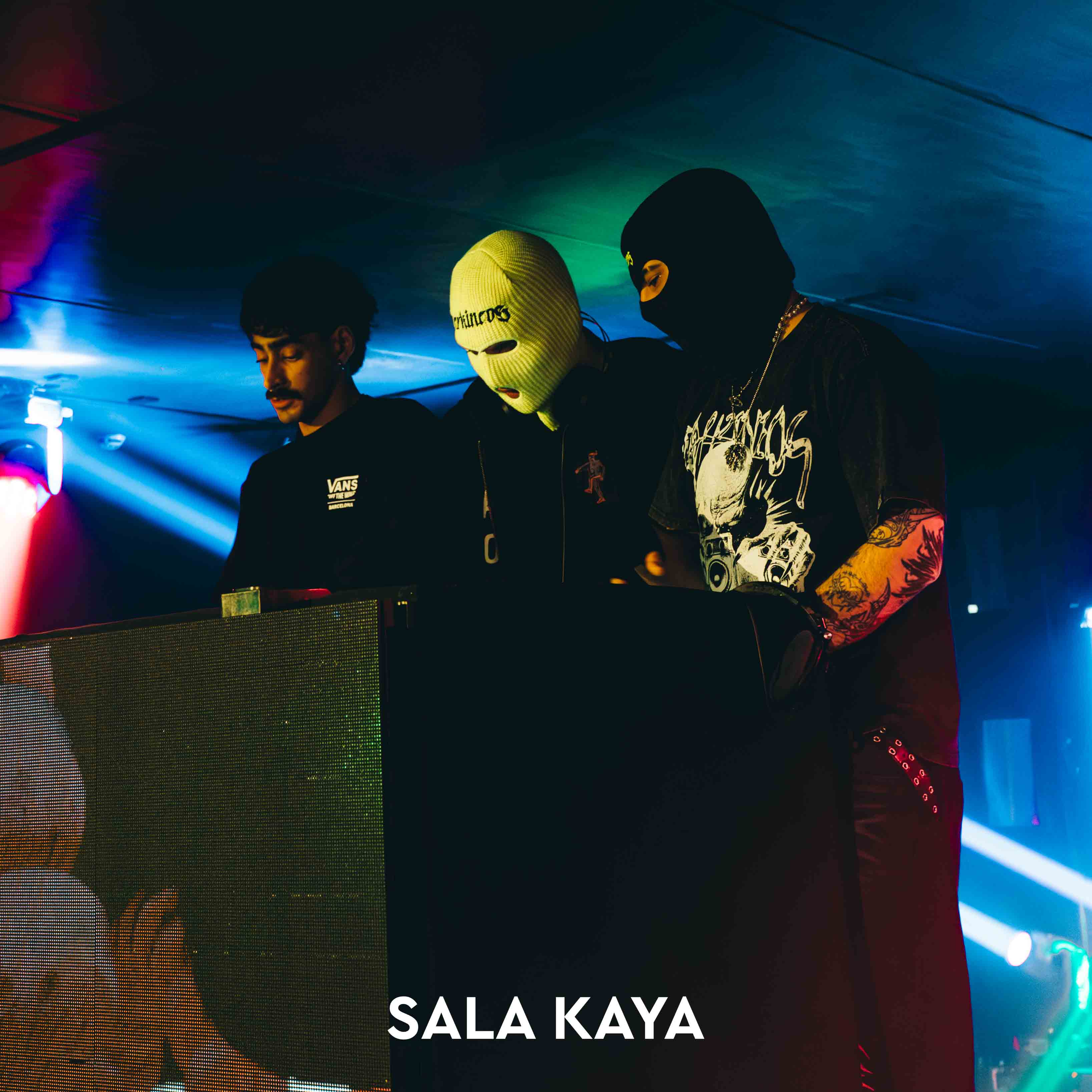 foto de público de PARKINEOS & AMYGDALA