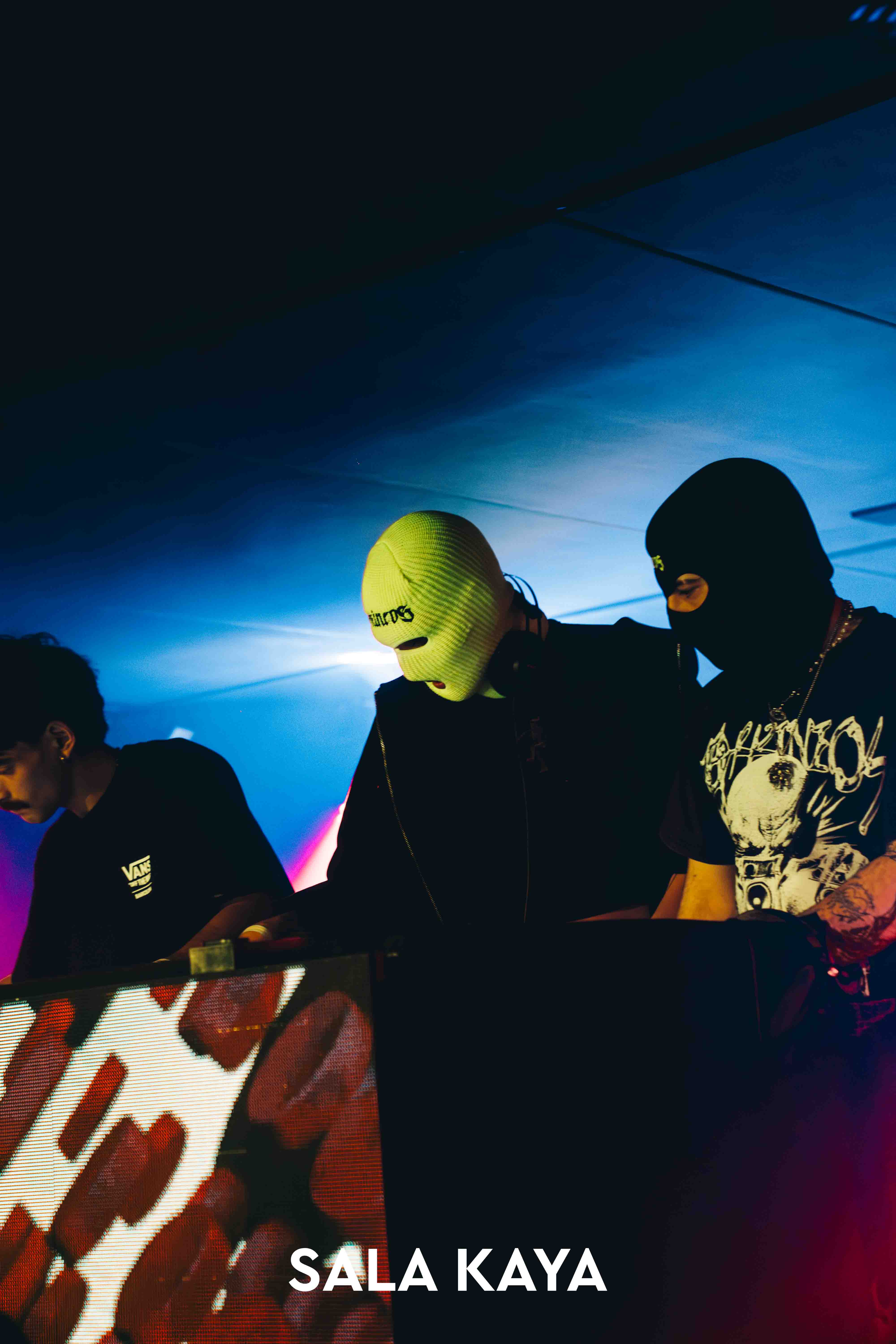 foto de público de PARKINEOS & AMYGDALA