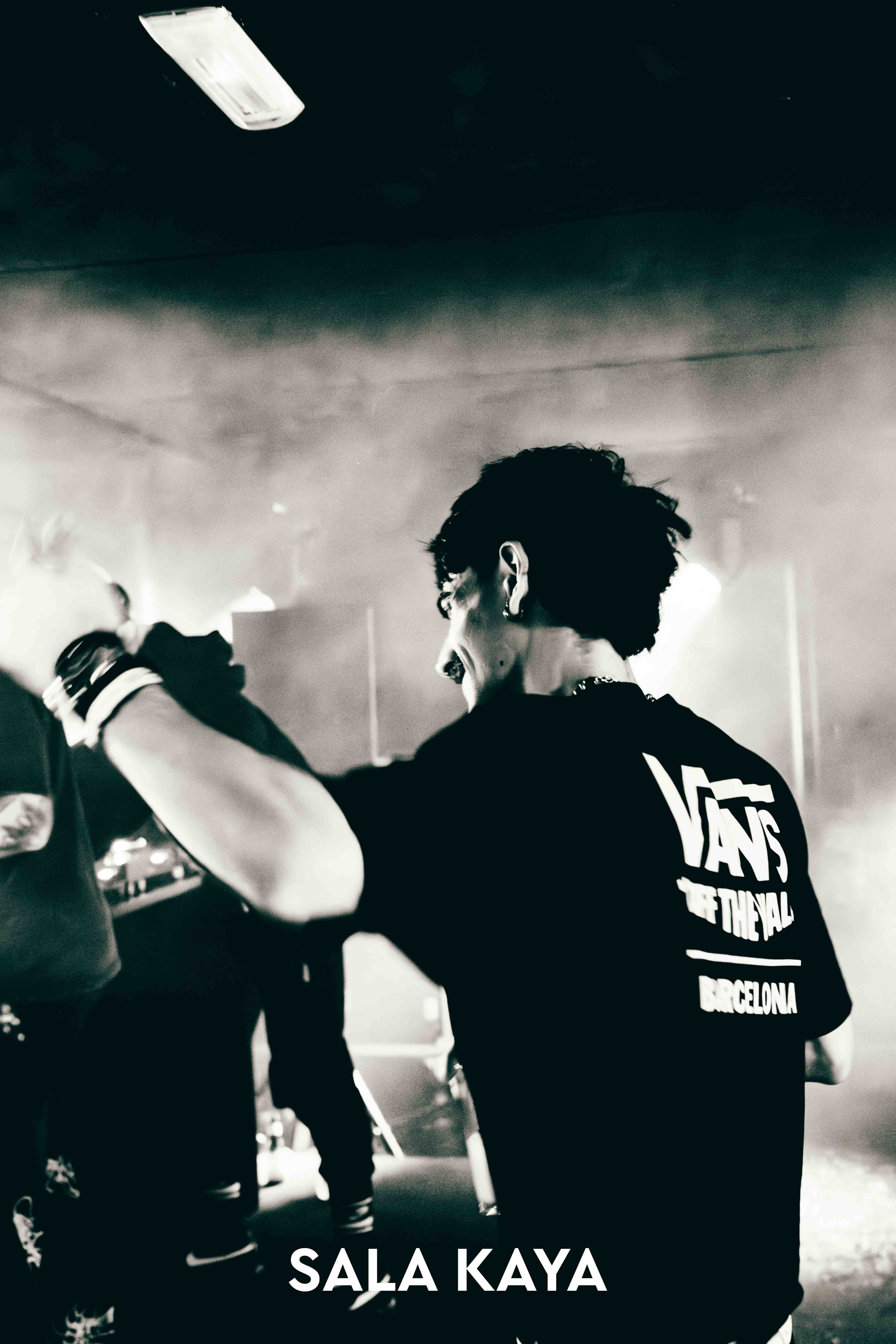 foto de público de PARKINEOS & AMYGDALA