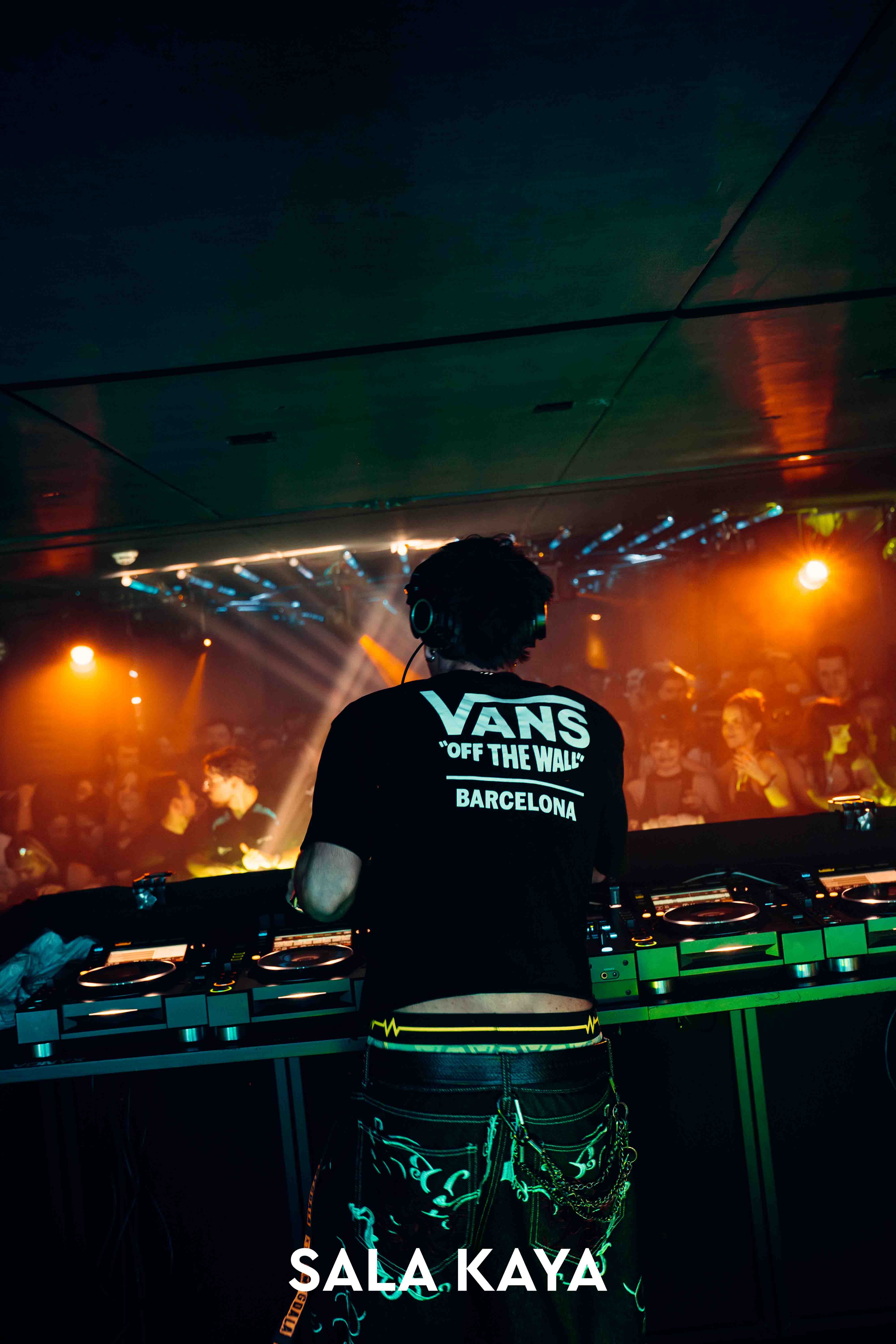 foto de público de PARKINEOS & AMYGDALA