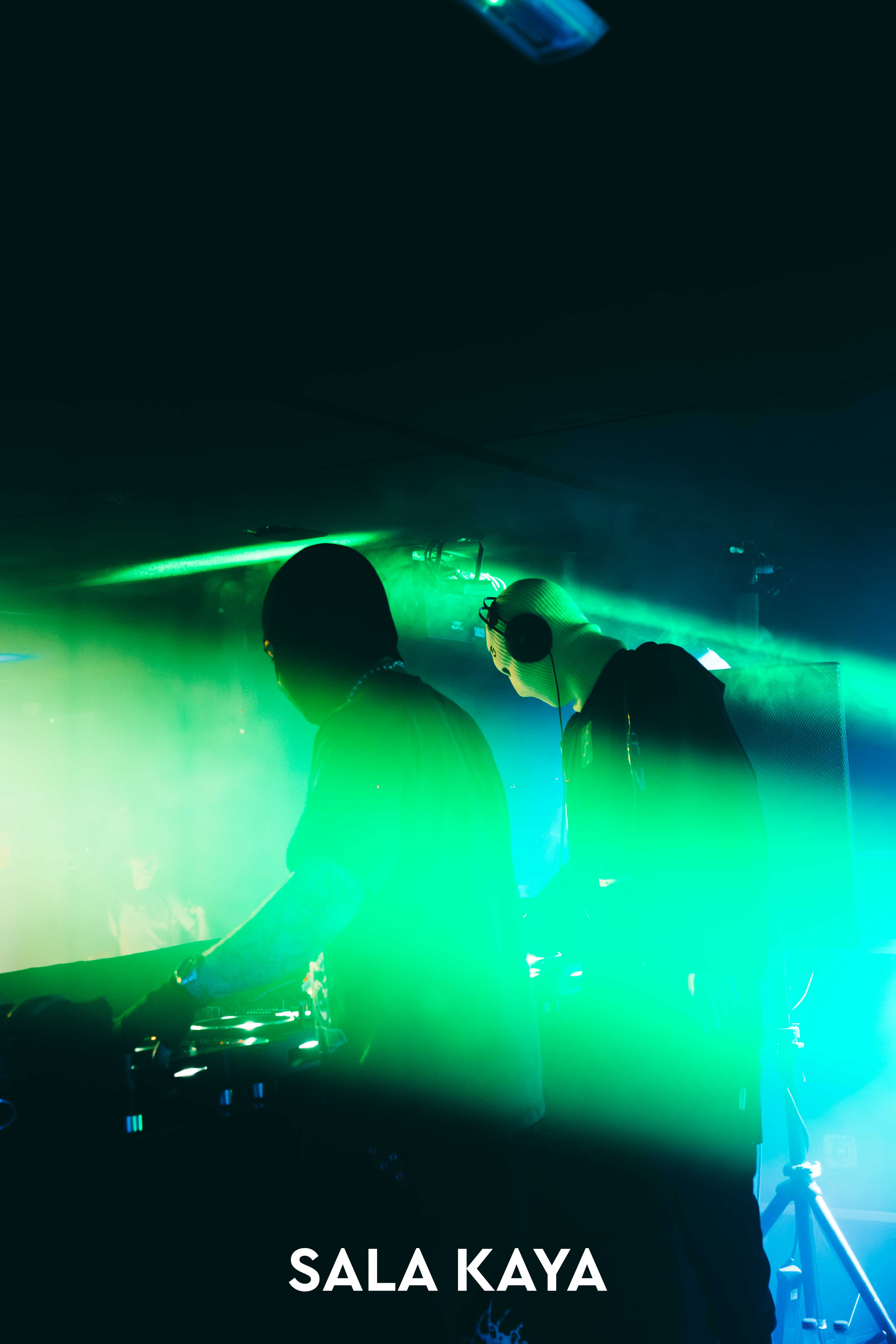 foto de público de PARKINEOS & AMYGDALA