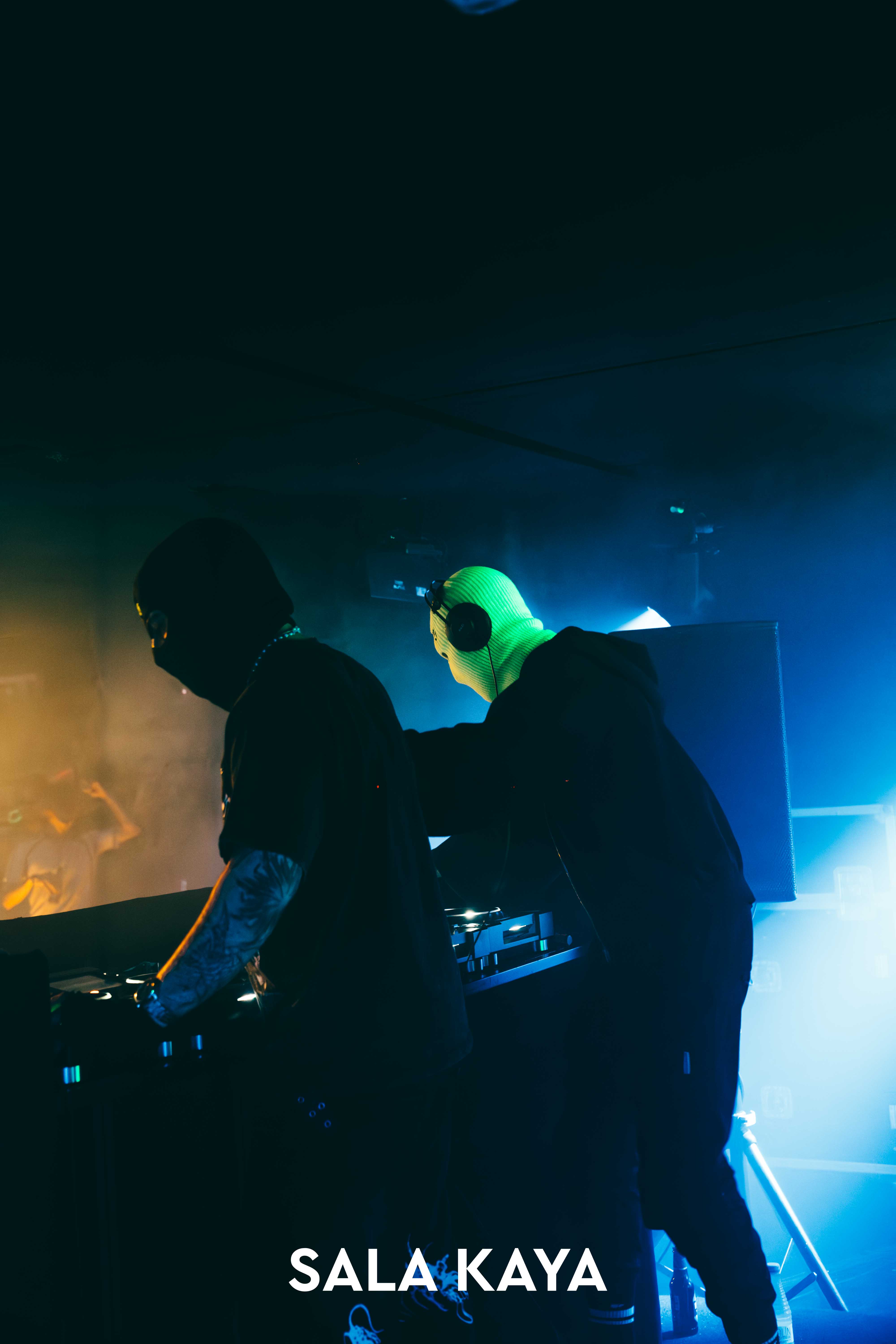 foto de público de PARKINEOS & AMYGDALA