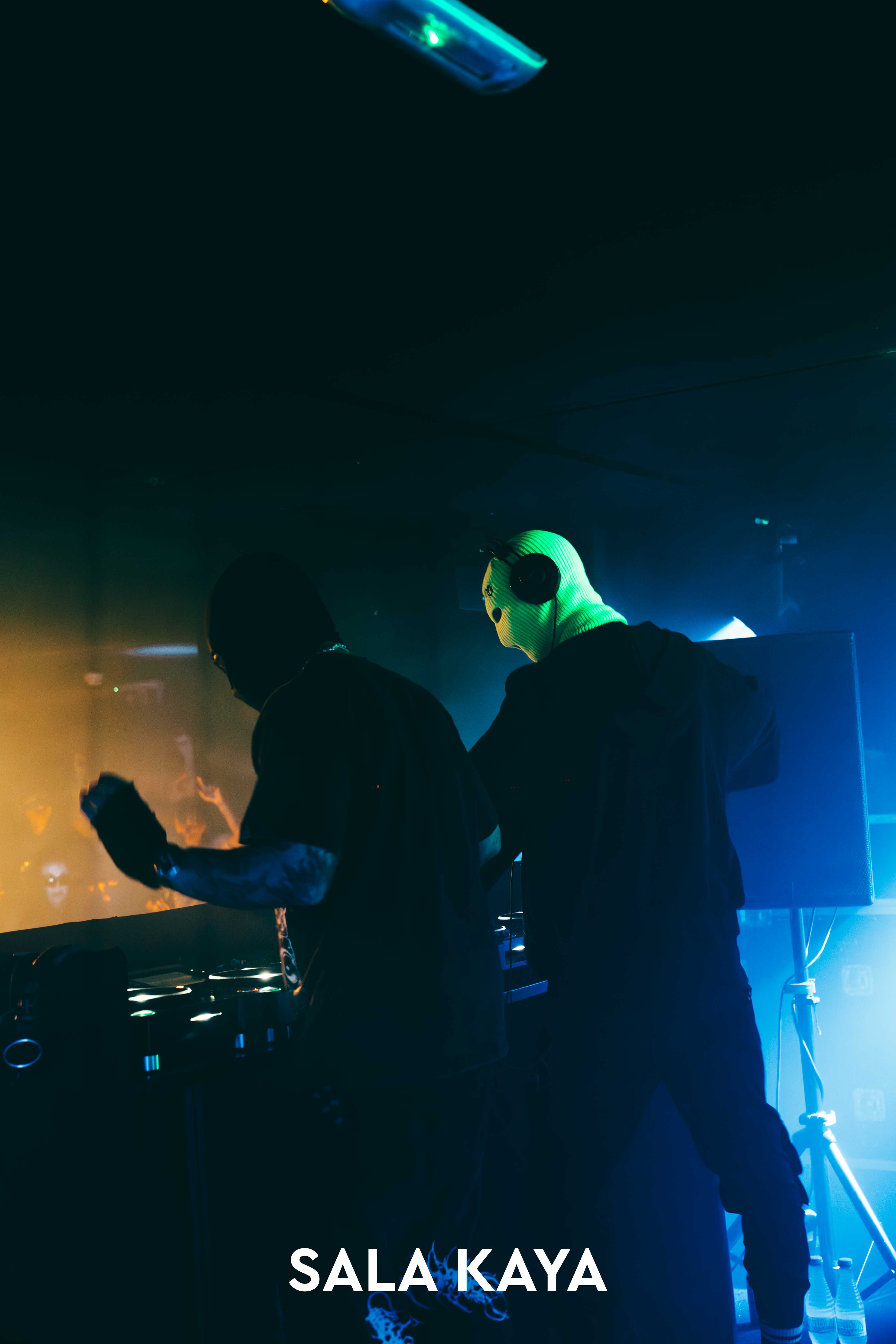 foto de público de PARKINEOS & AMYGDALA