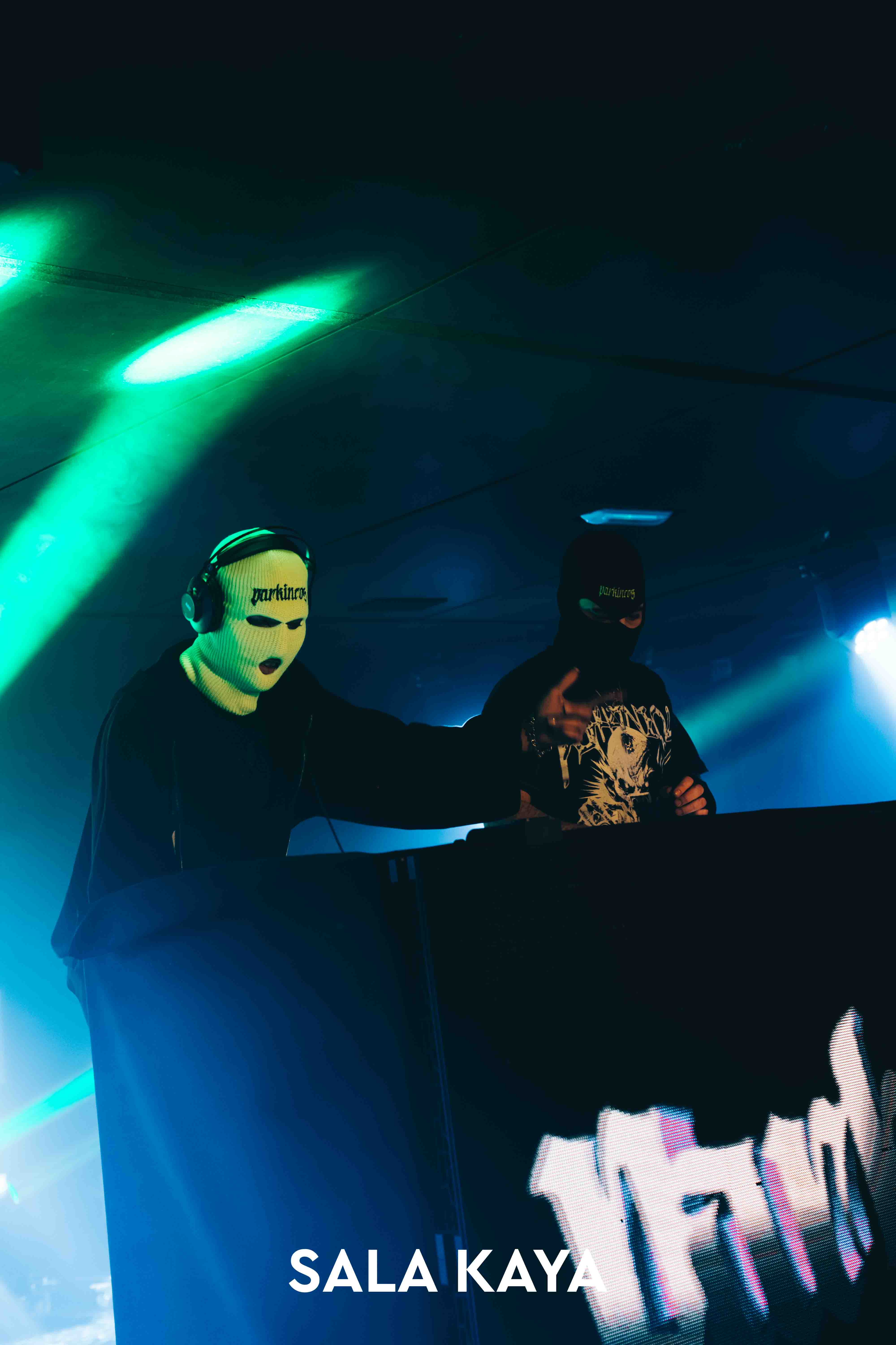 foto de público de PARKINEOS & AMYGDALA