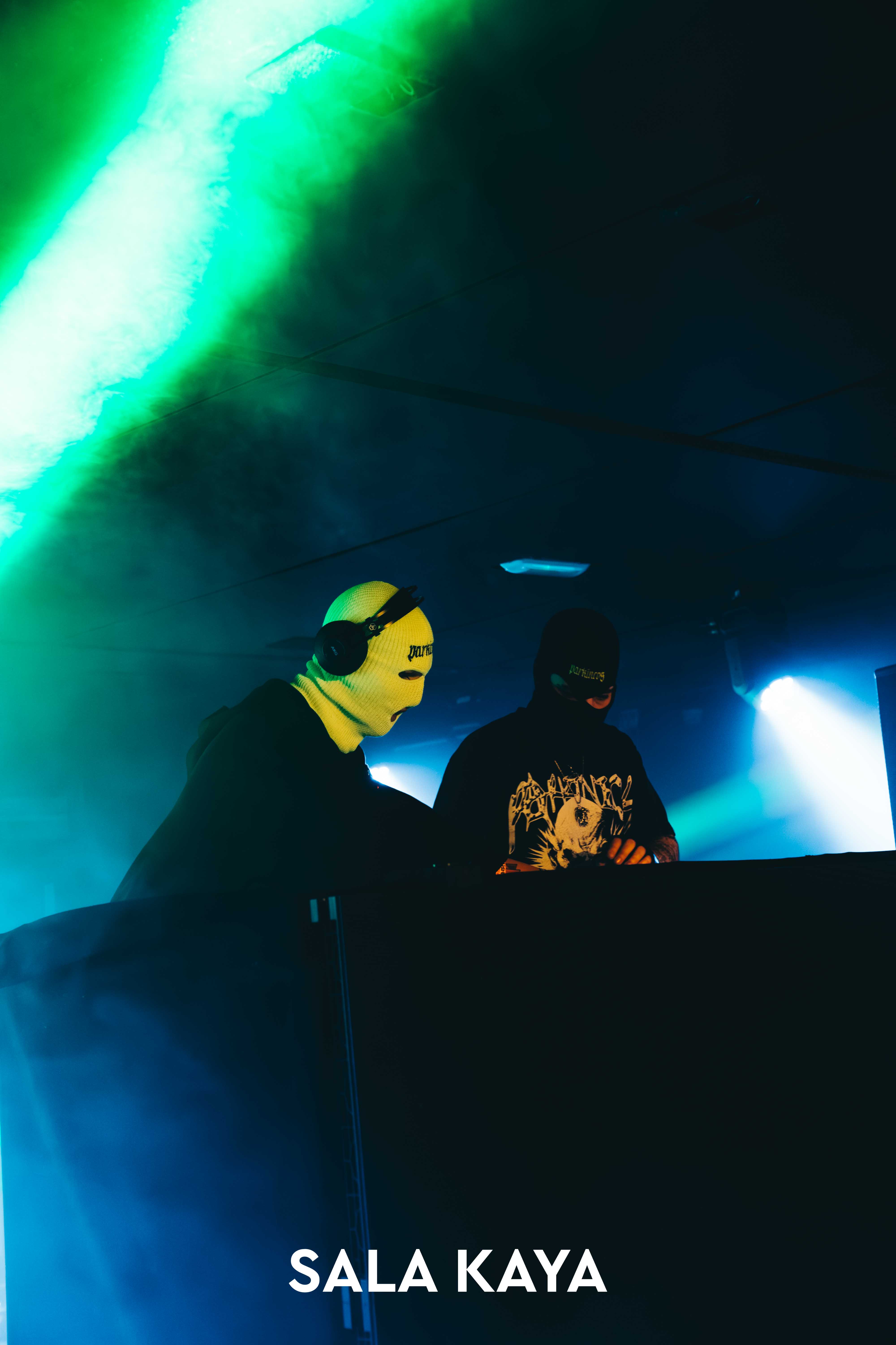 foto de público de PARKINEOS & AMYGDALA