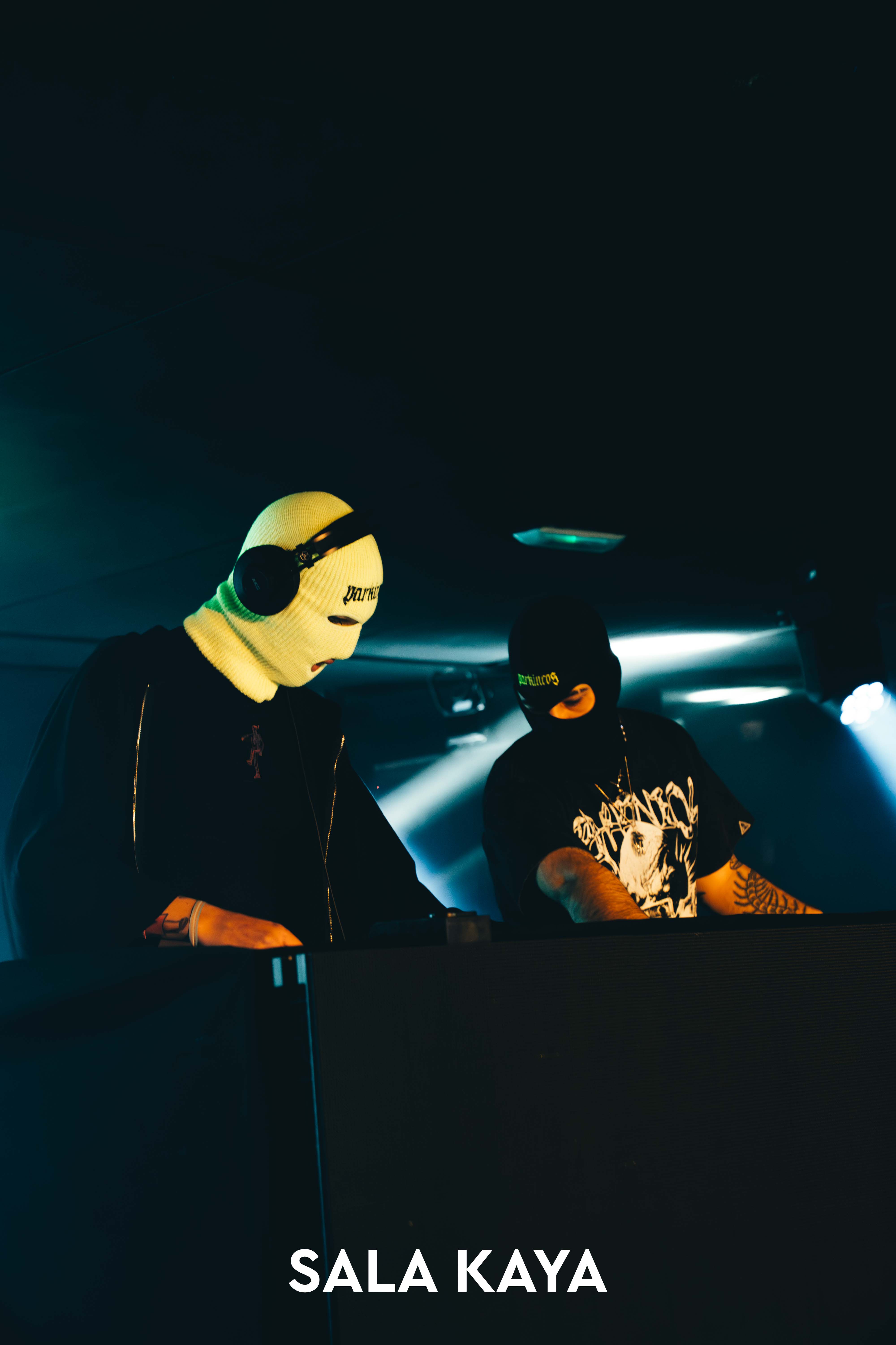 foto de público de PARKINEOS & AMYGDALA