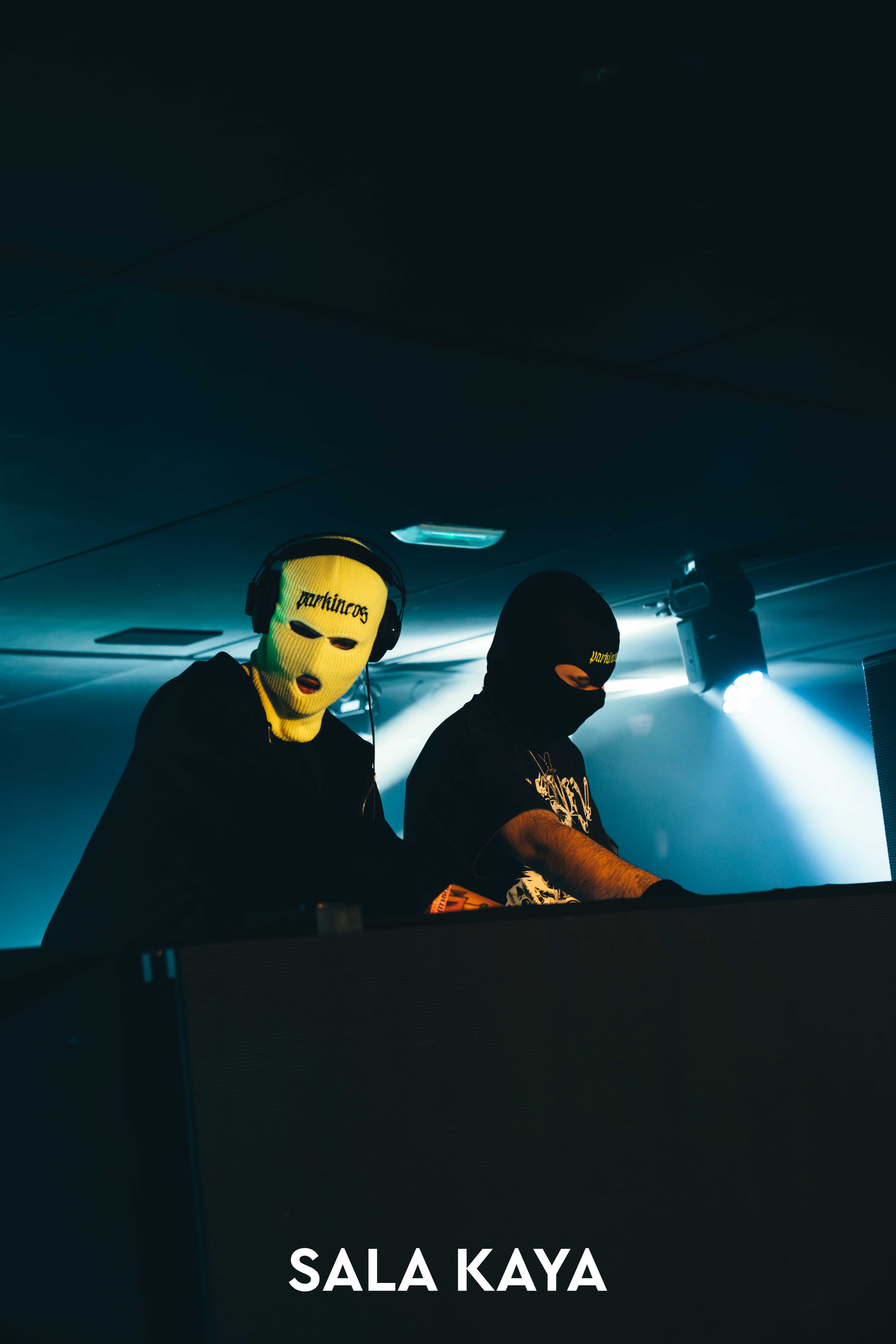 foto de público de PARKINEOS & AMYGDALA