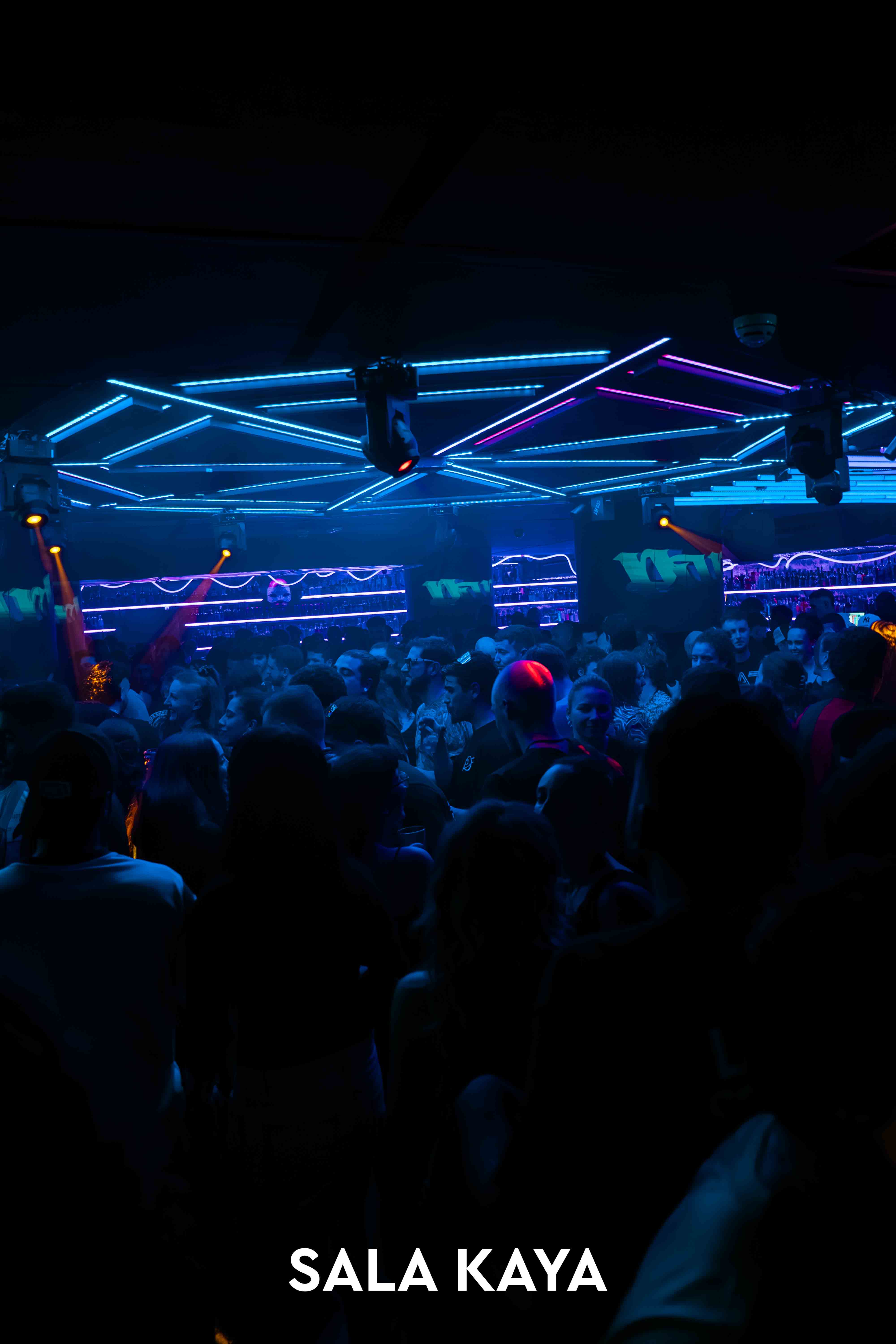 foto de público de PARKINEOS & AMYGDALA