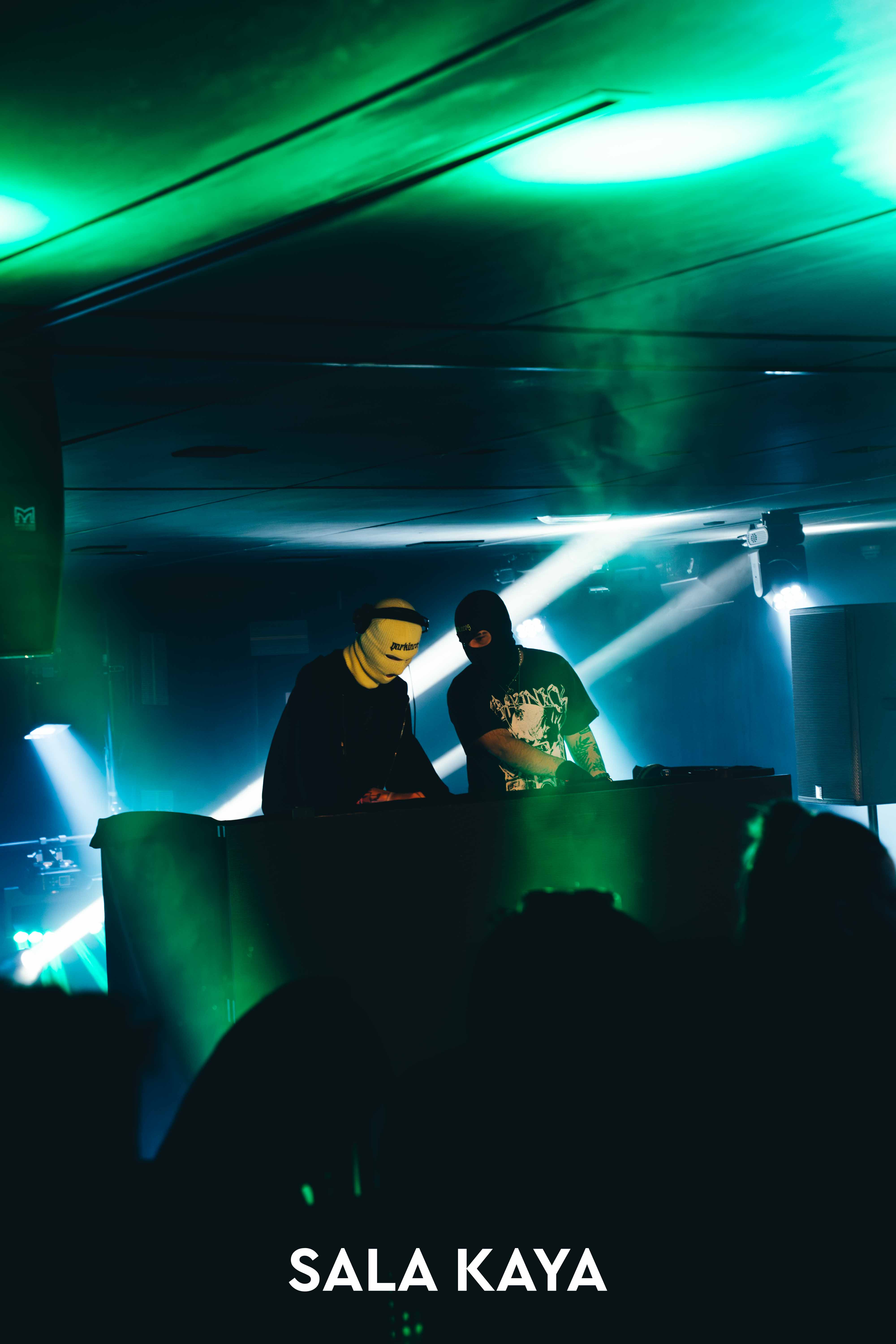 foto de público de PARKINEOS & AMYGDALA