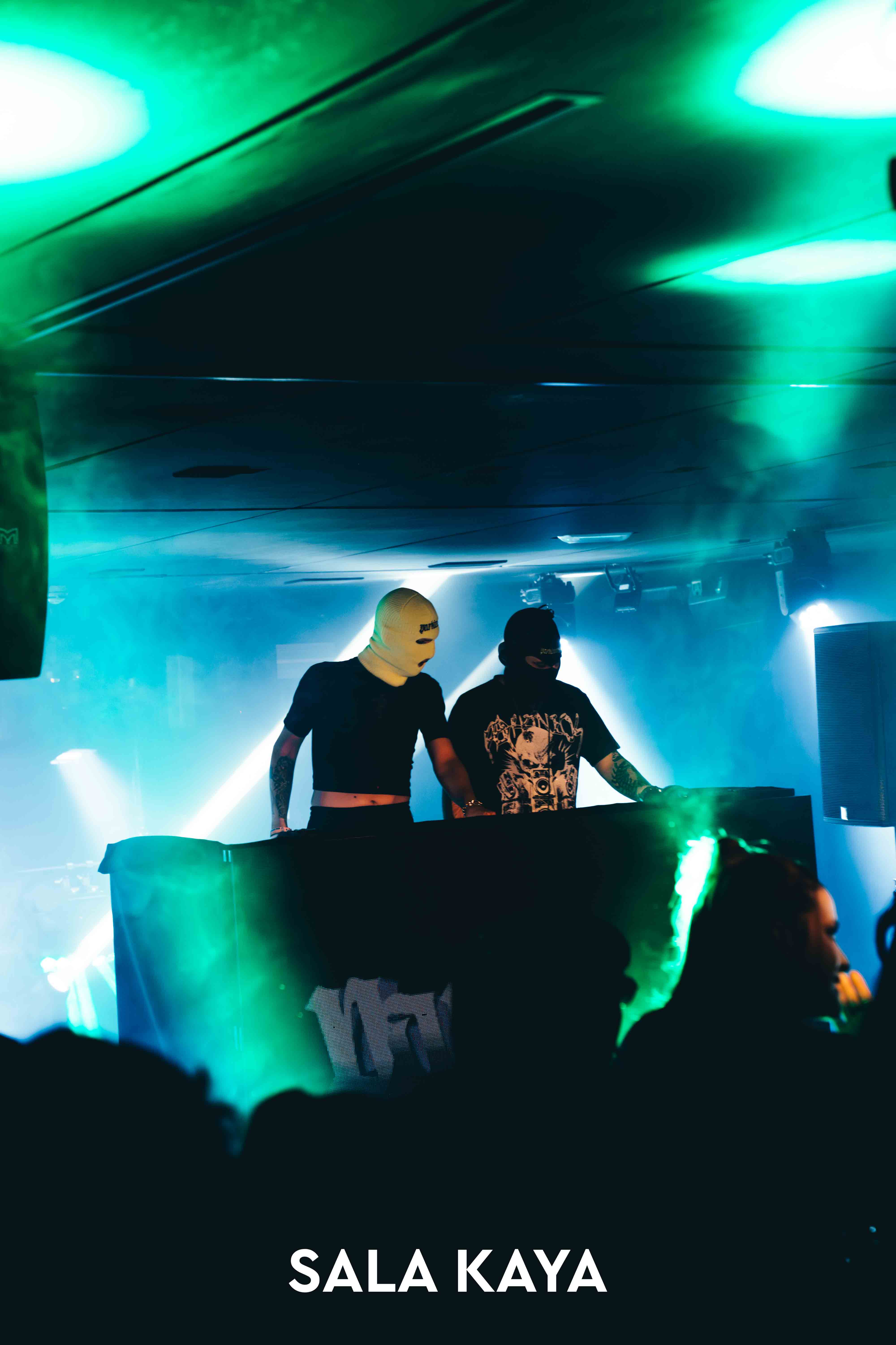 foto de público de PARKINEOS & AMYGDALA