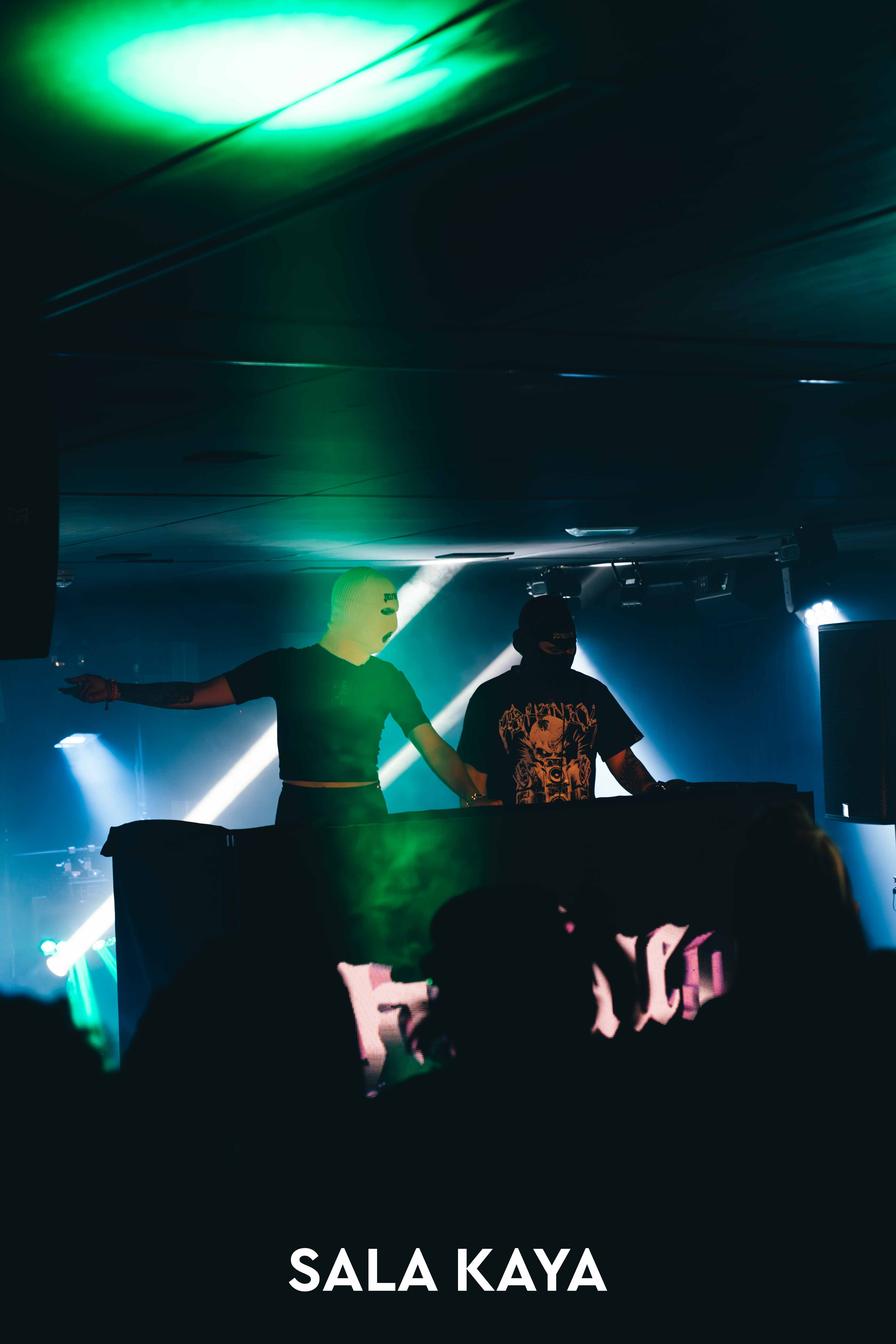 foto de público de PARKINEOS & AMYGDALA