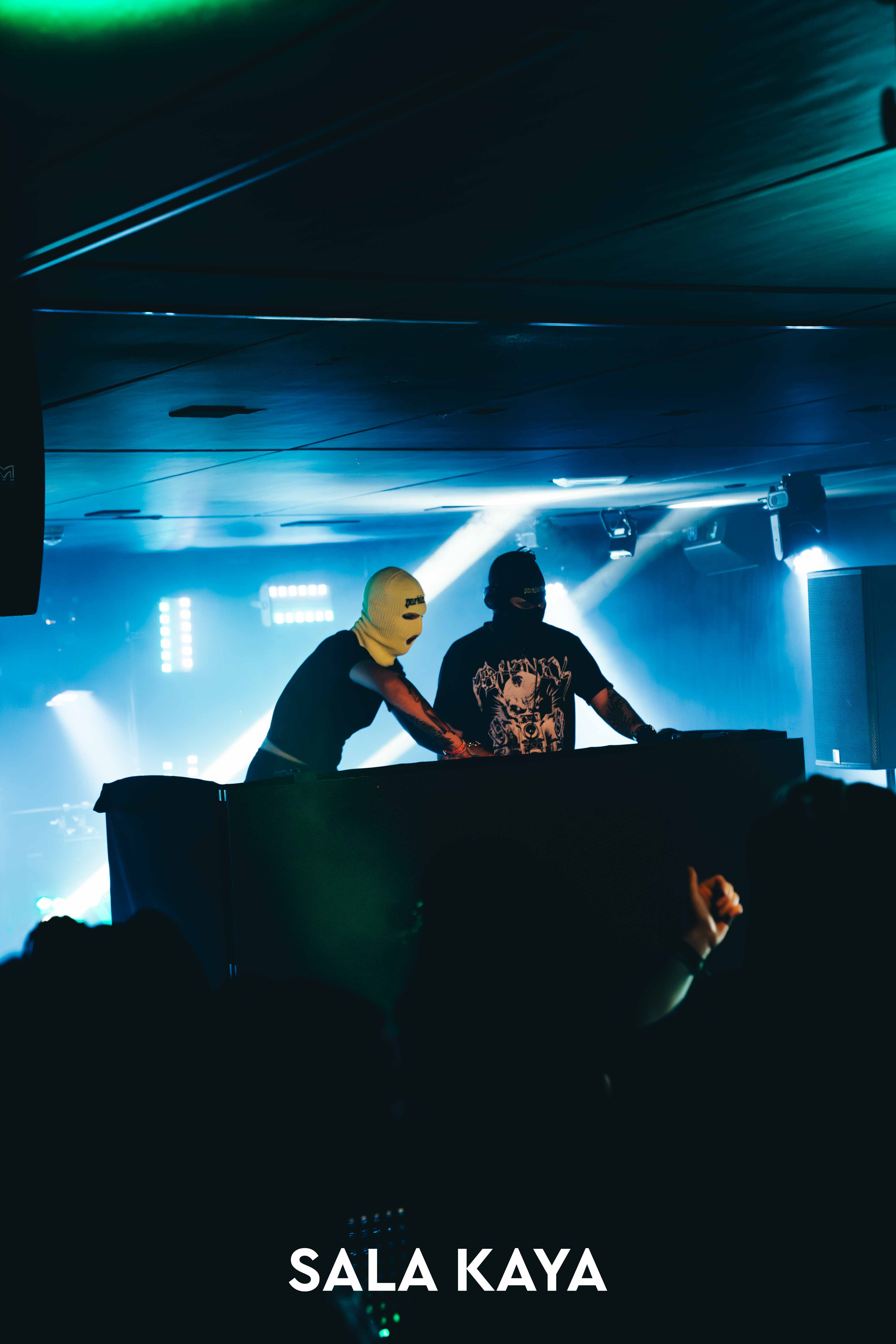 foto de público de PARKINEOS & AMYGDALA