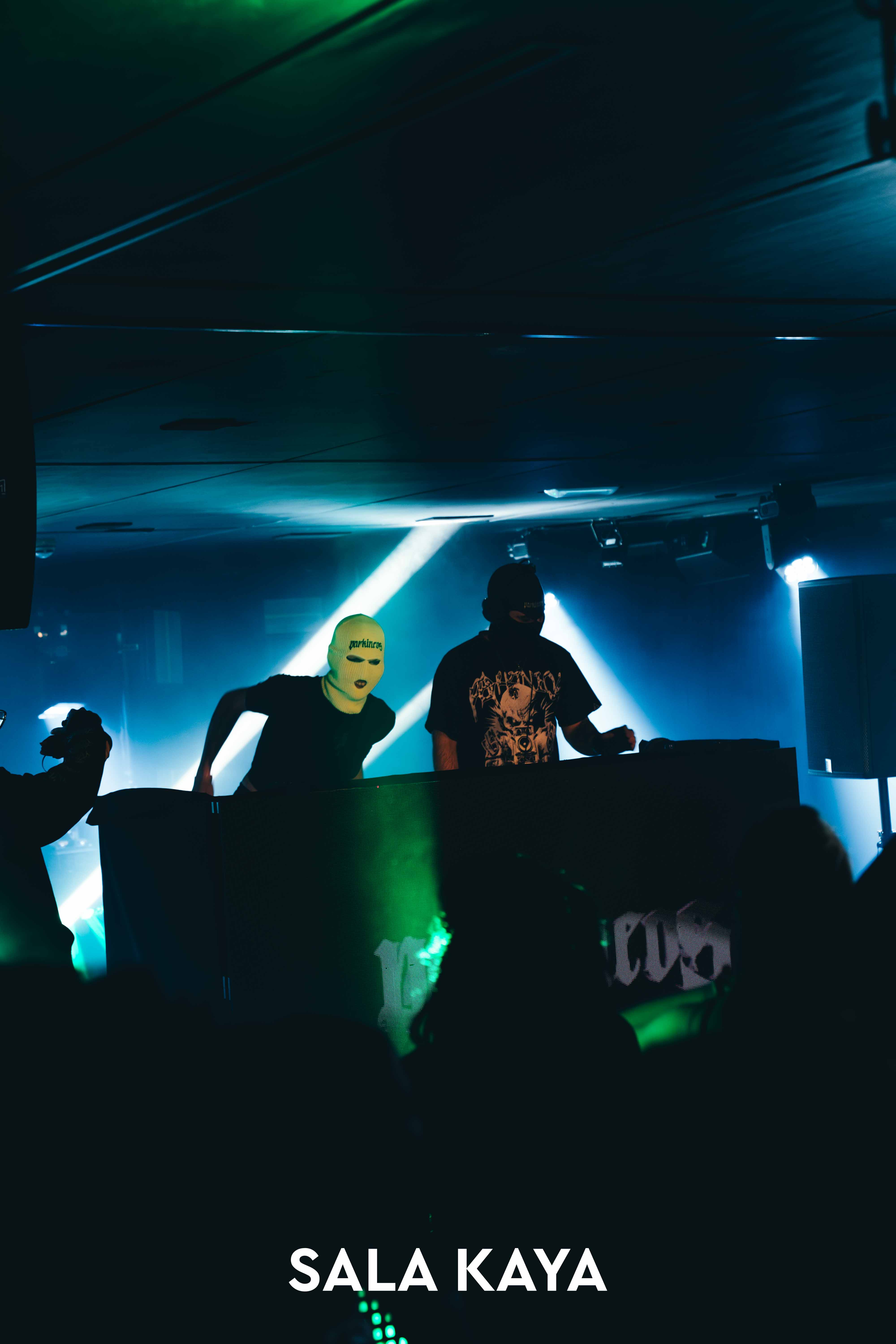 foto de público de PARKINEOS & AMYGDALA