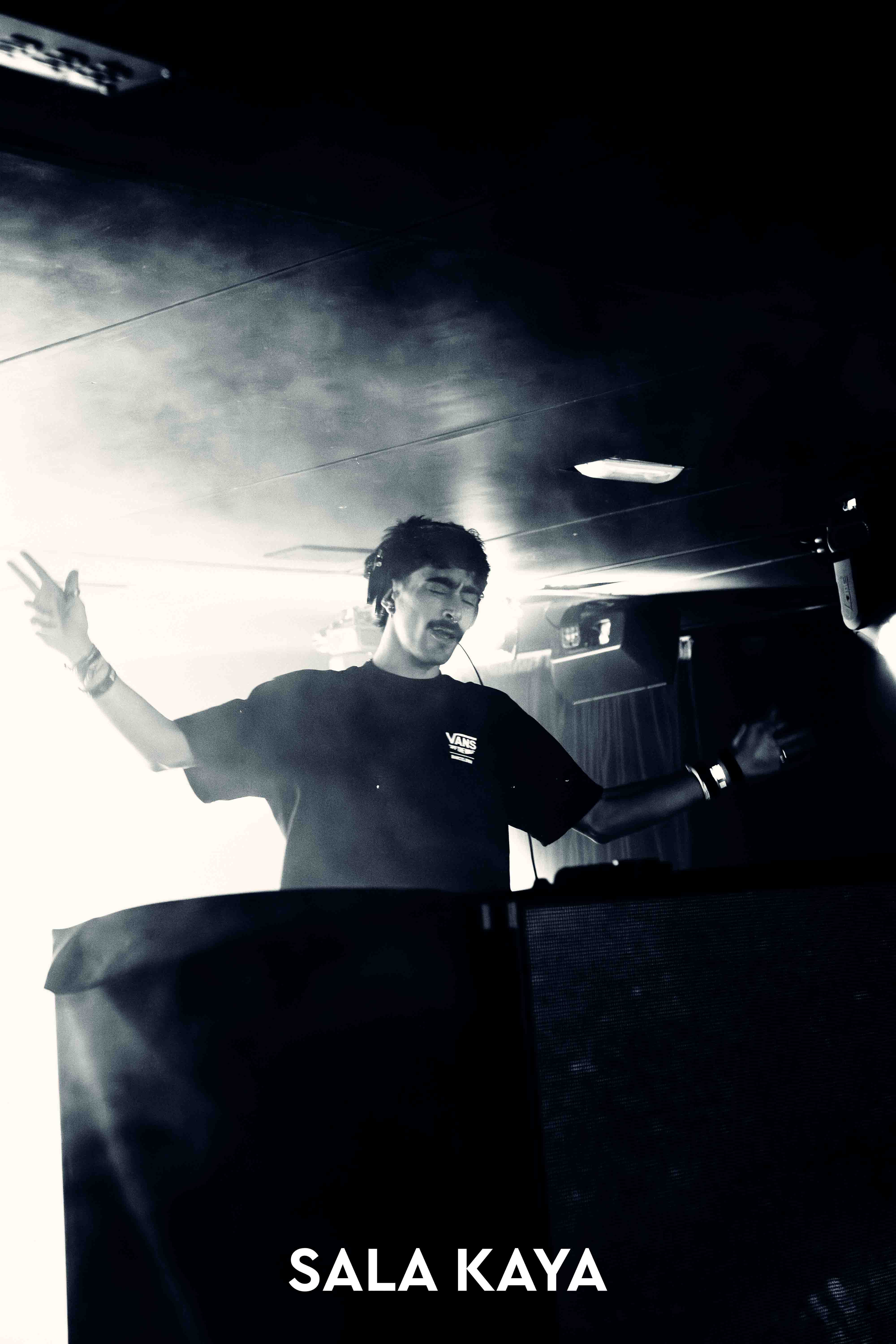 foto de público de PARKINEOS & AMYGDALA