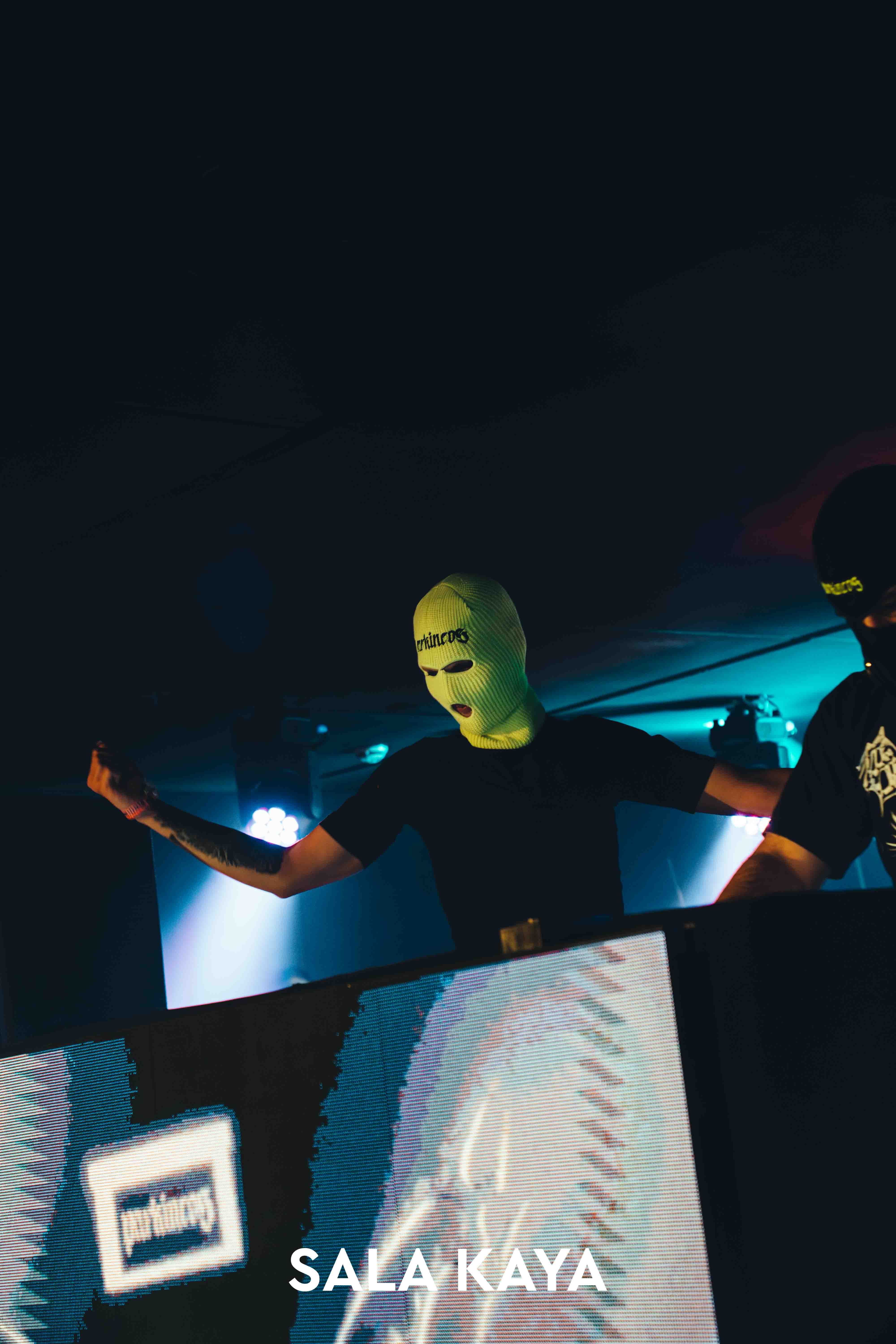 foto de público de PARKINEOS & AMYGDALA