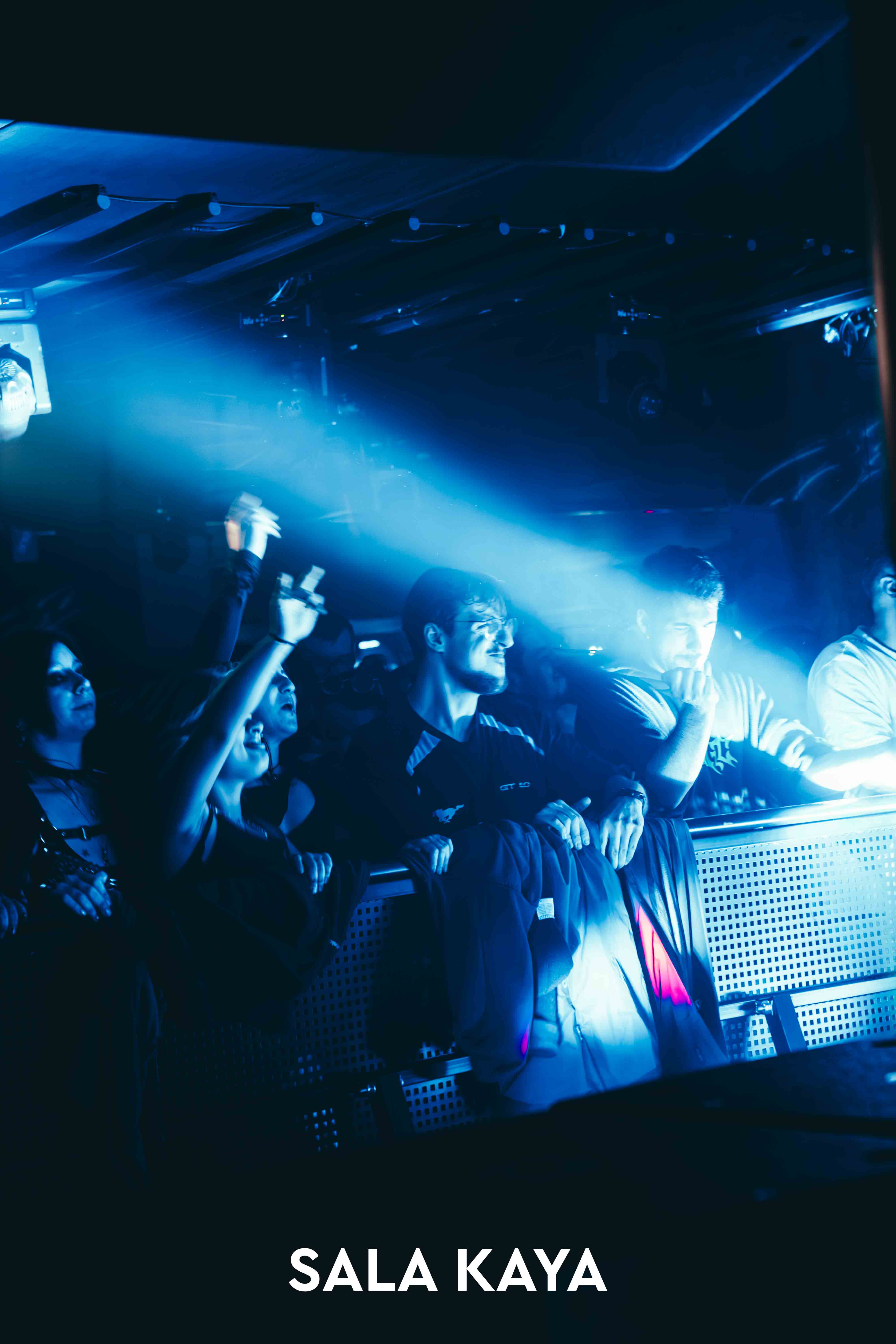 foto de público de PARKINEOS & AMYGDALA