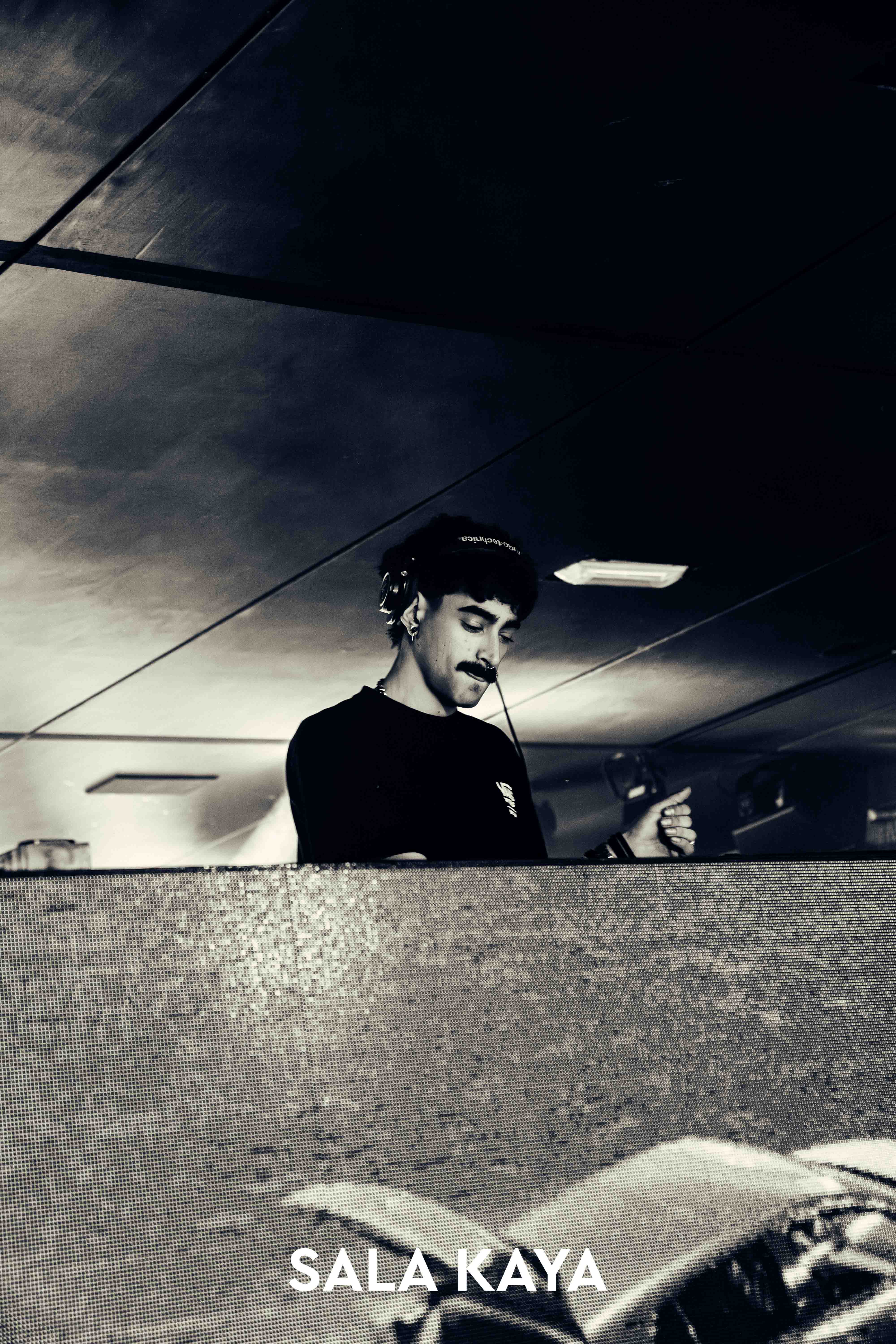 foto de público de PARKINEOS & AMYGDALA