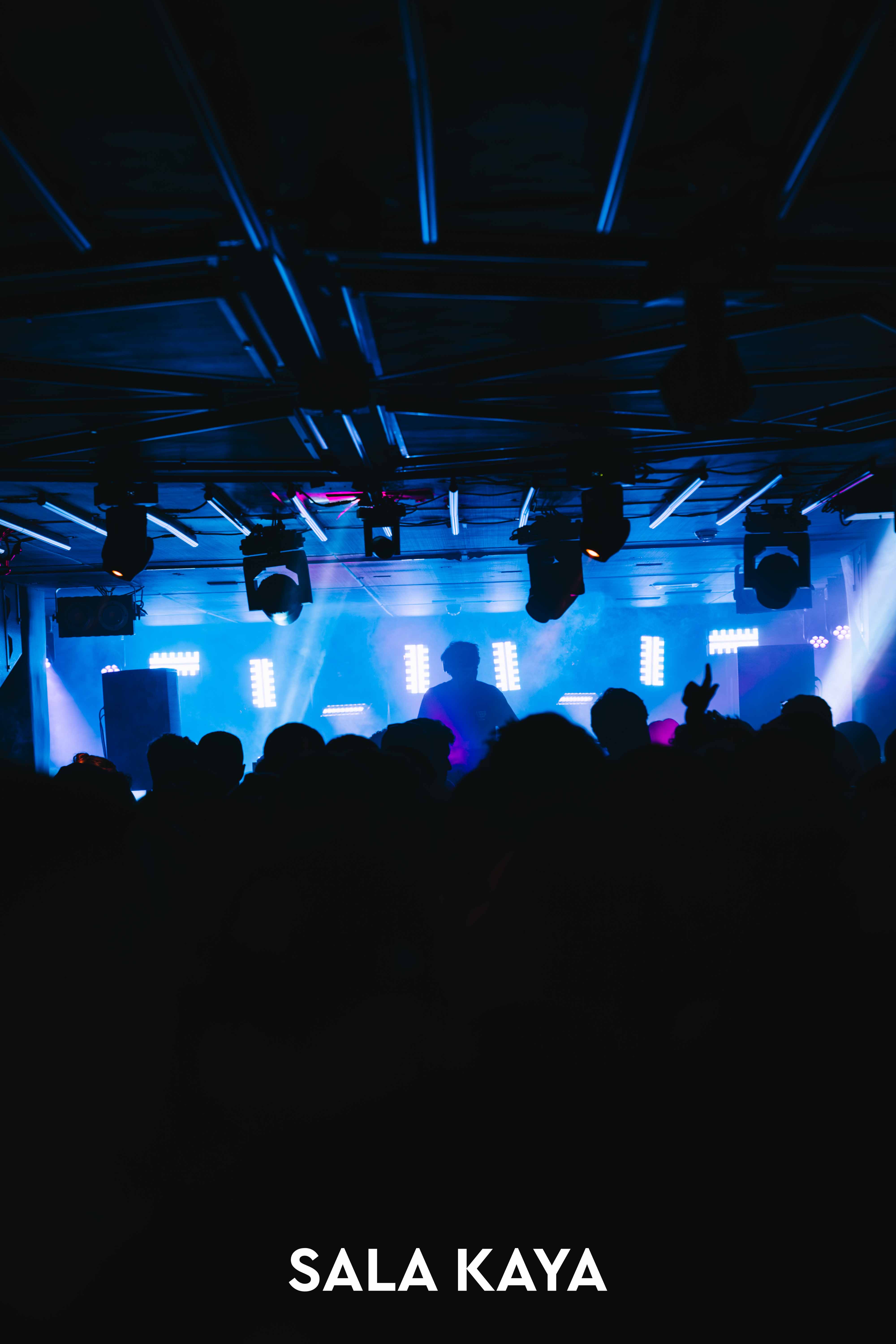 foto de público de PARKINEOS & AMYGDALA