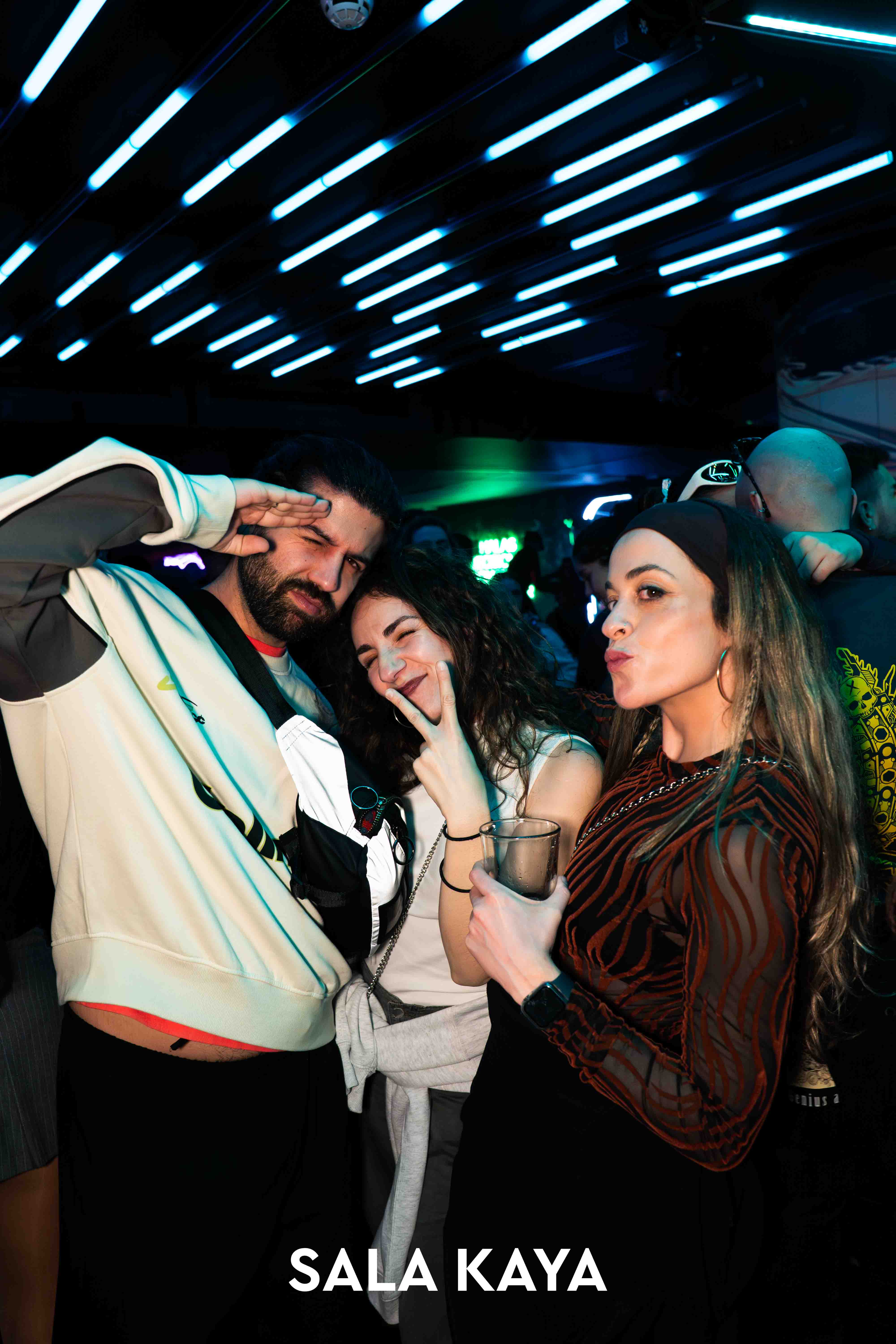 foto de público de PARKINEOS & AMYGDALA