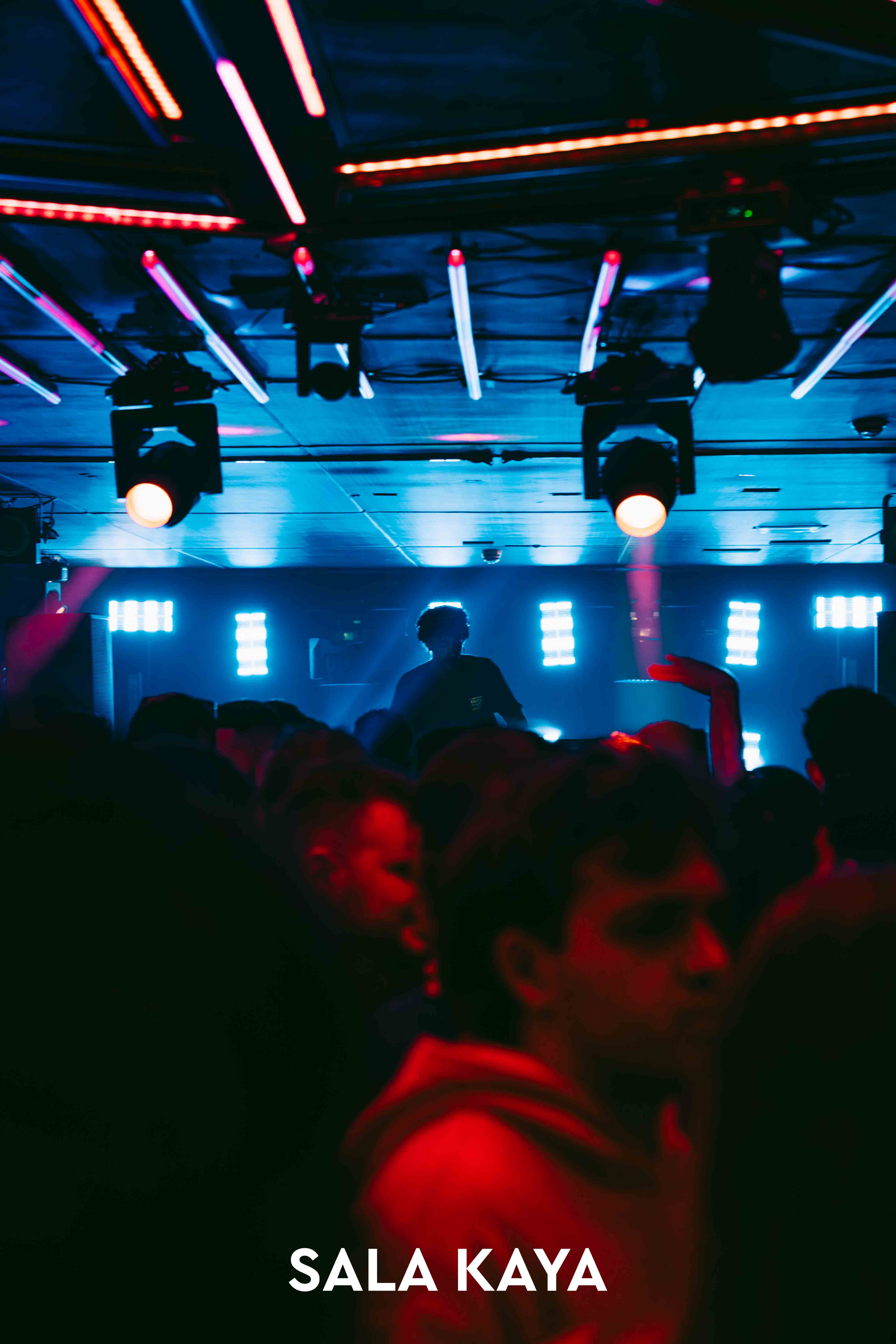 foto de público de PARKINEOS & AMYGDALA