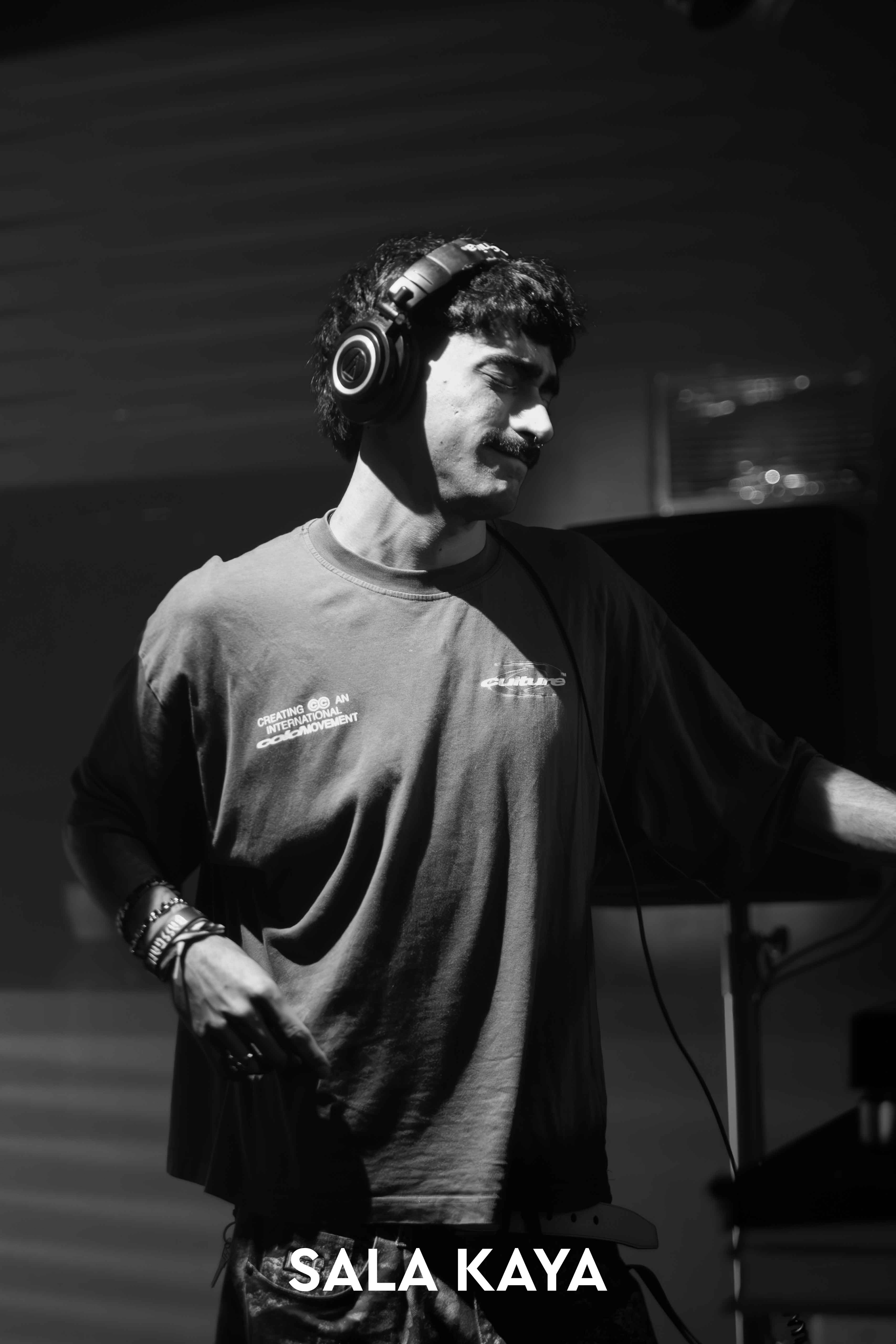 foto de público de PARKINEOS & AMYGDALA