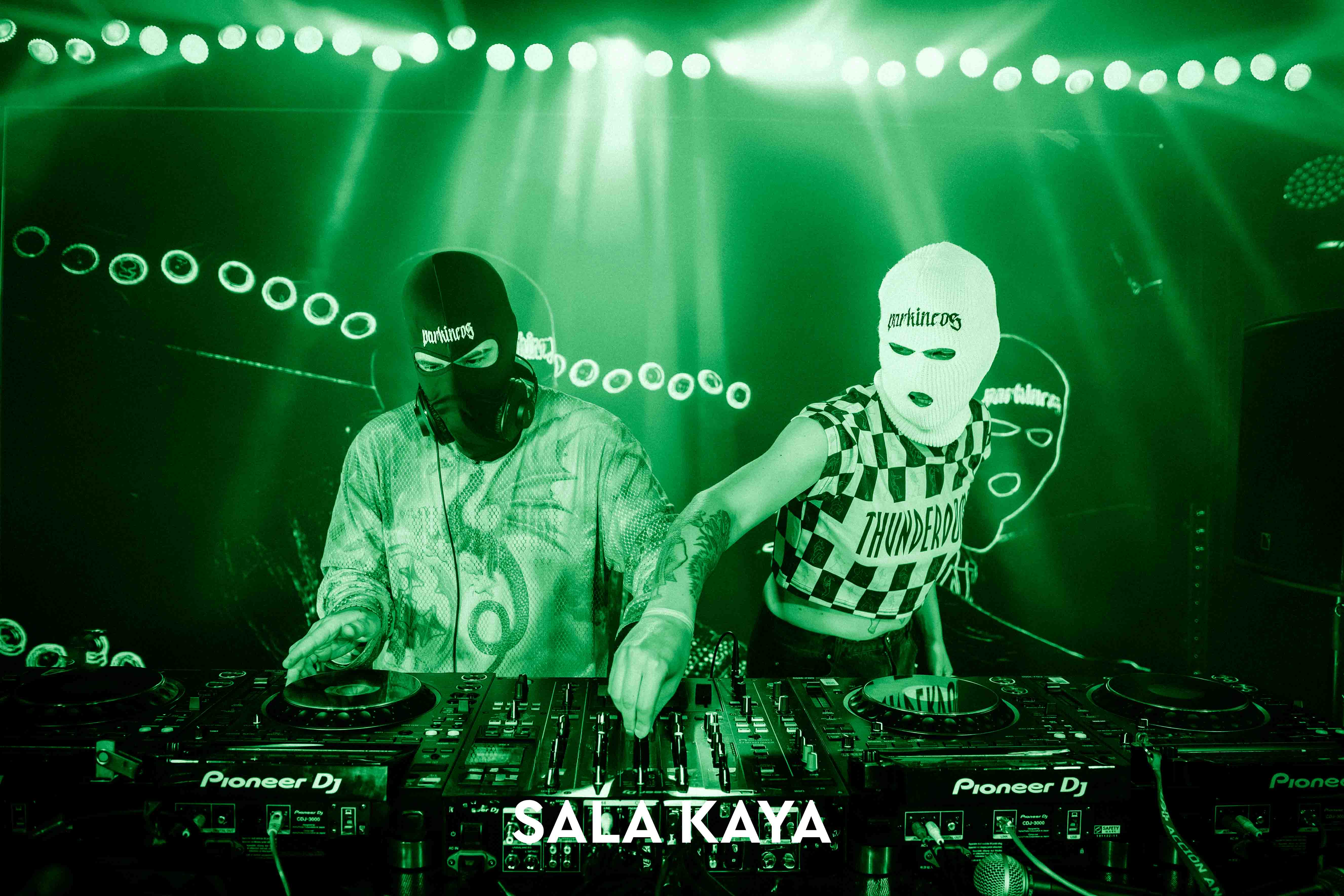 foto de público de PARKINEOS & AMYGDALA