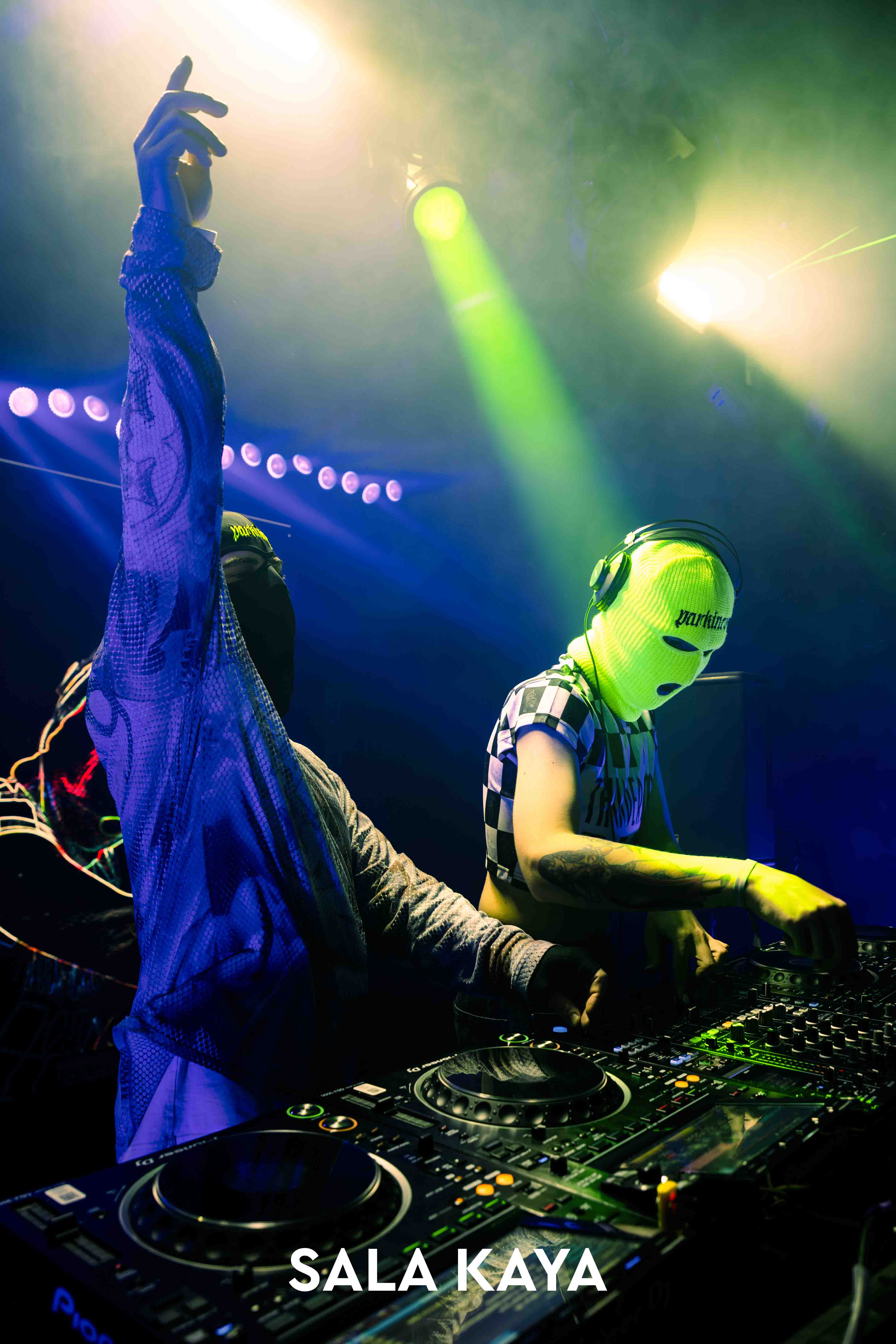 foto de público de PARKINEOS & AMYGDALA