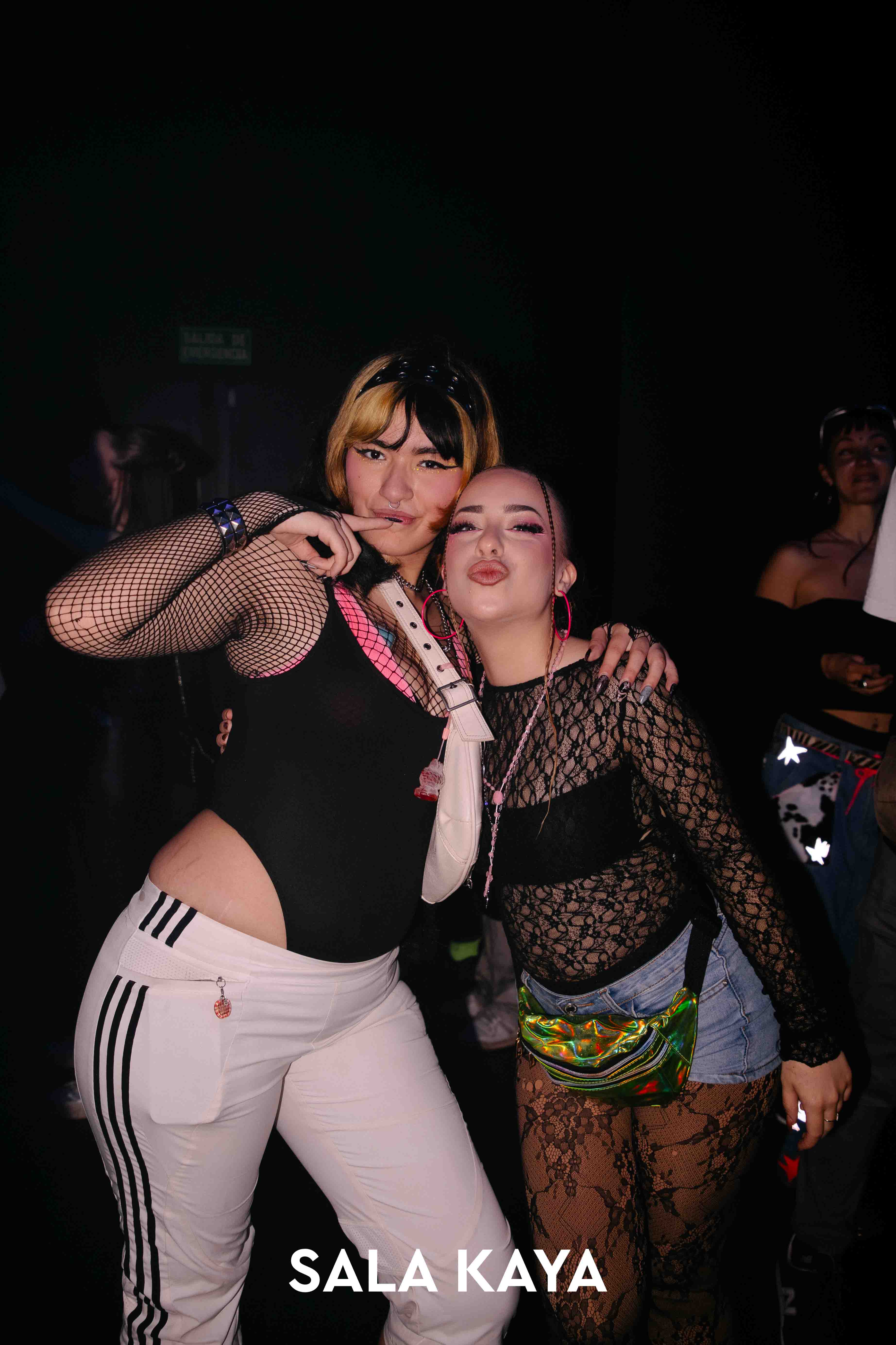 foto de público de PARKINEOS & AMYGDALA