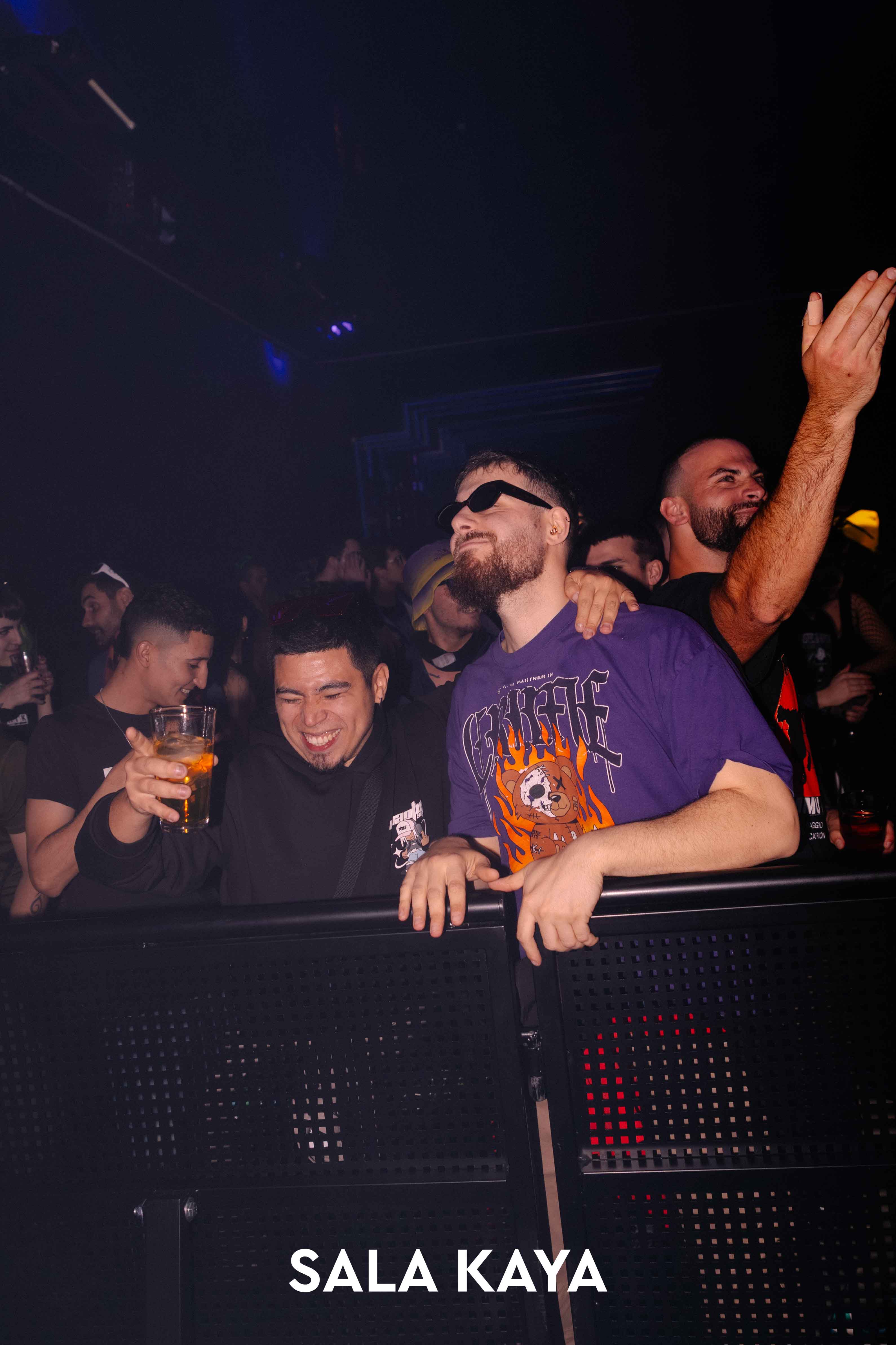 foto de público de PARKINEOS & AMYGDALA