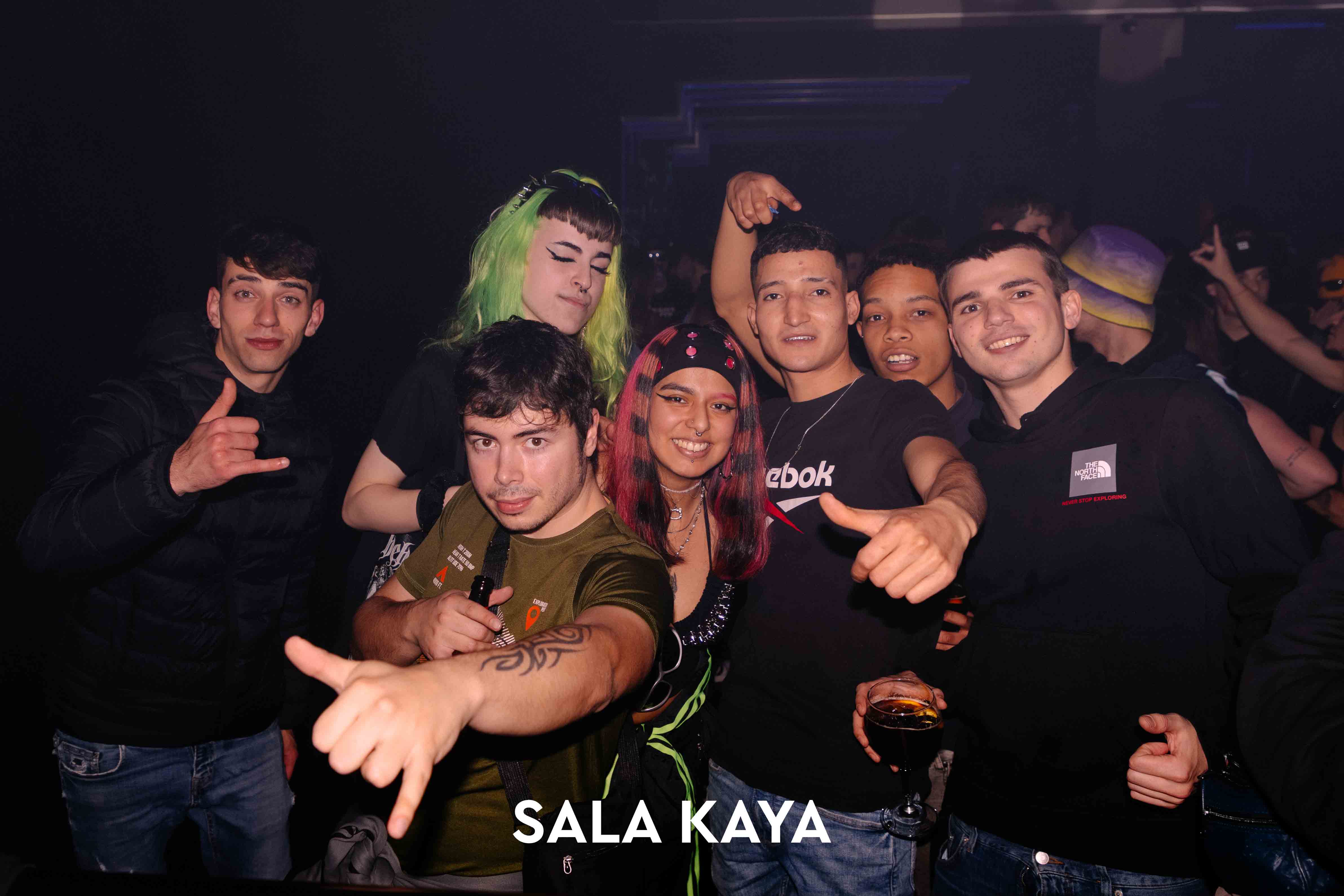 foto de público de PARKINEOS & AMYGDALA